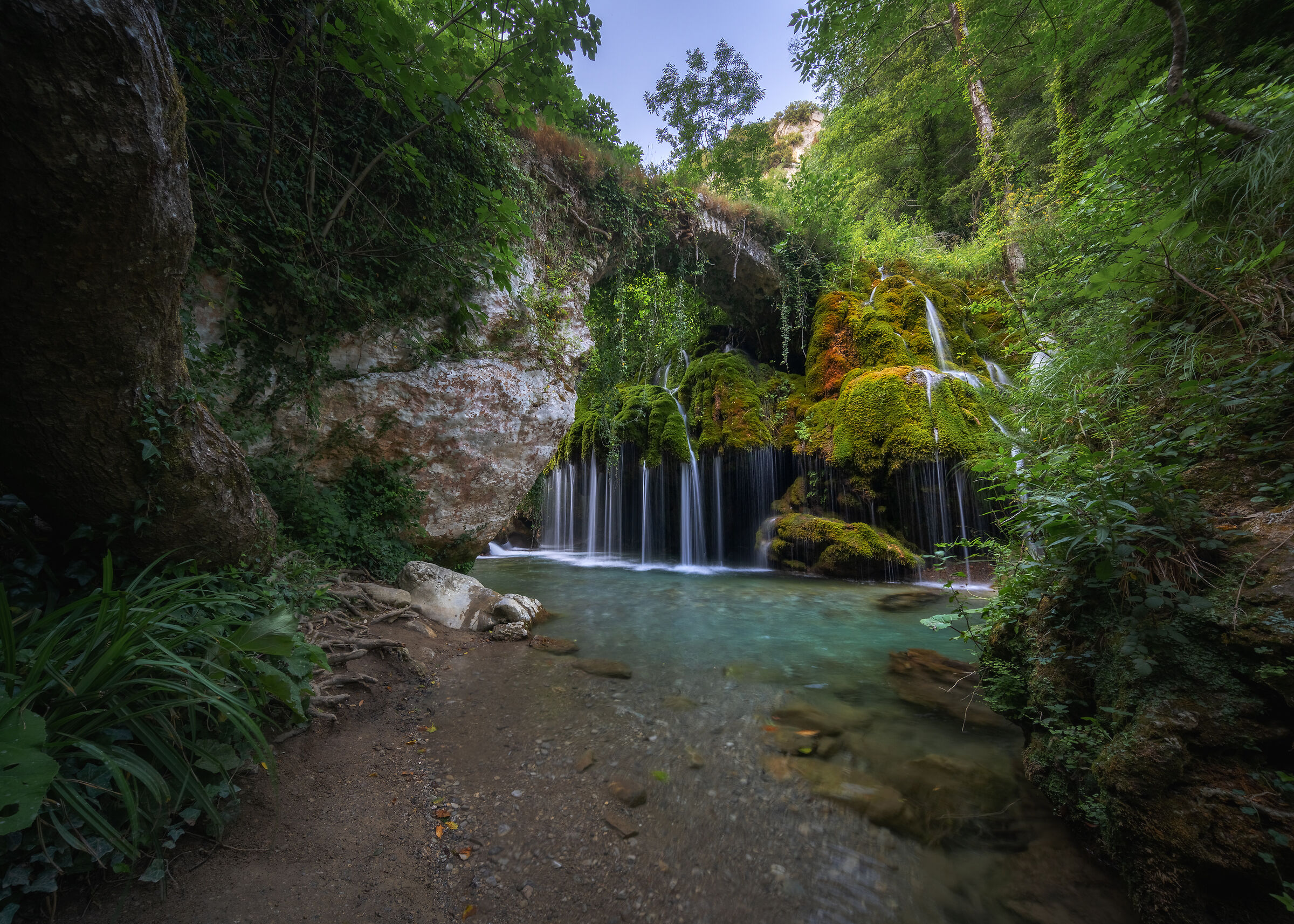 Capelli di Venere (sa)