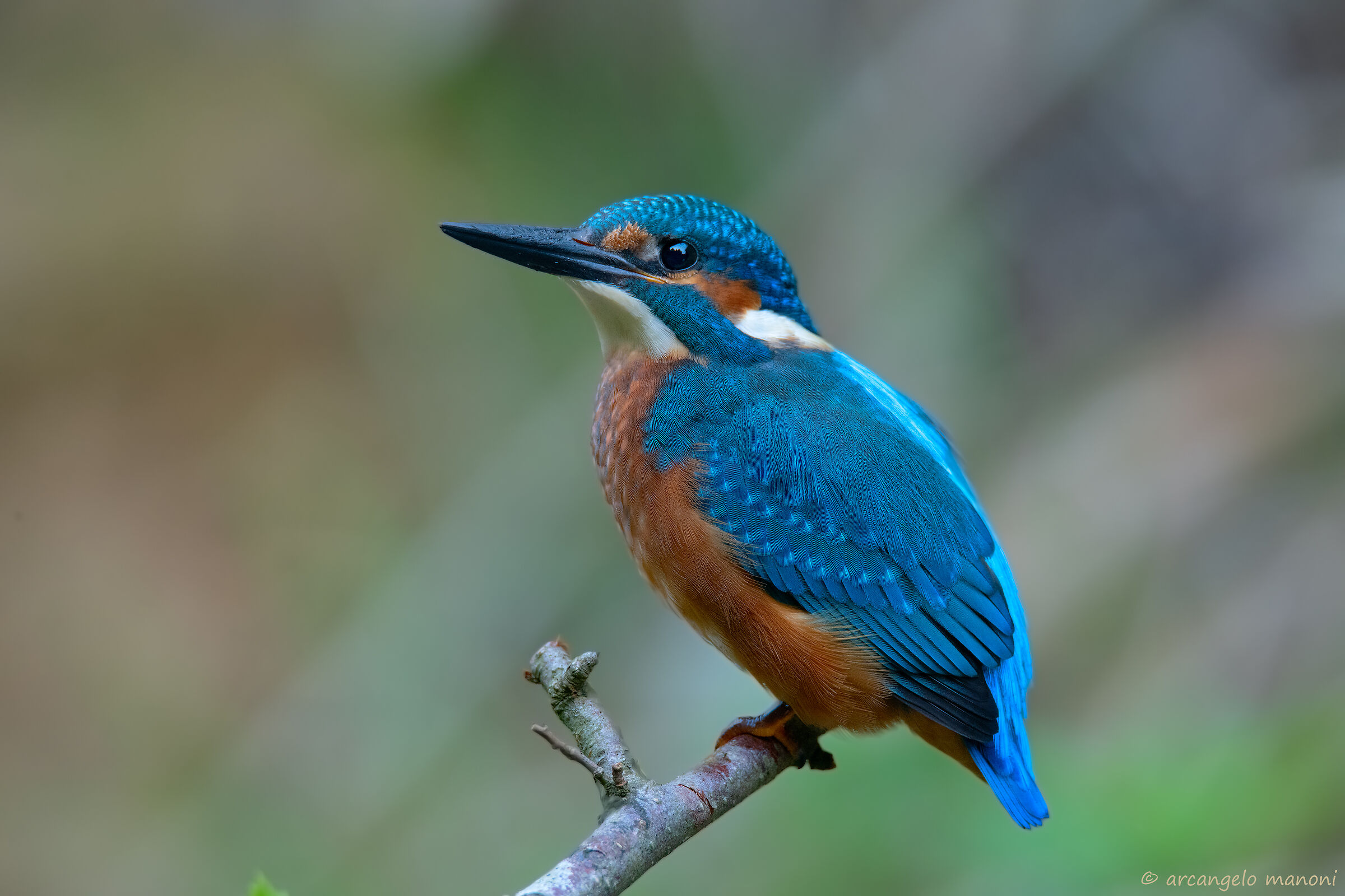 The rest of the blue lightning