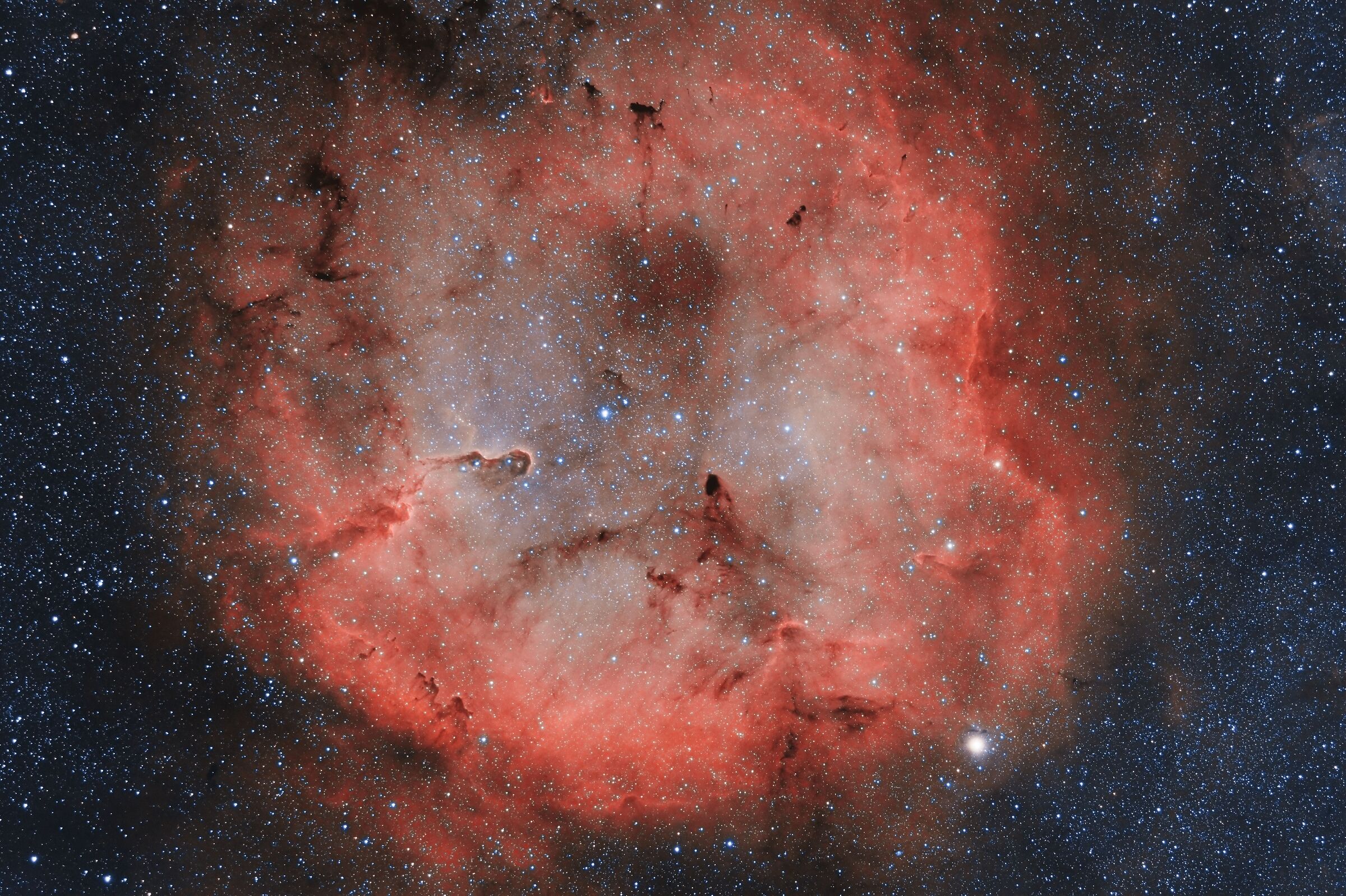Elephant's Trunk Nebula