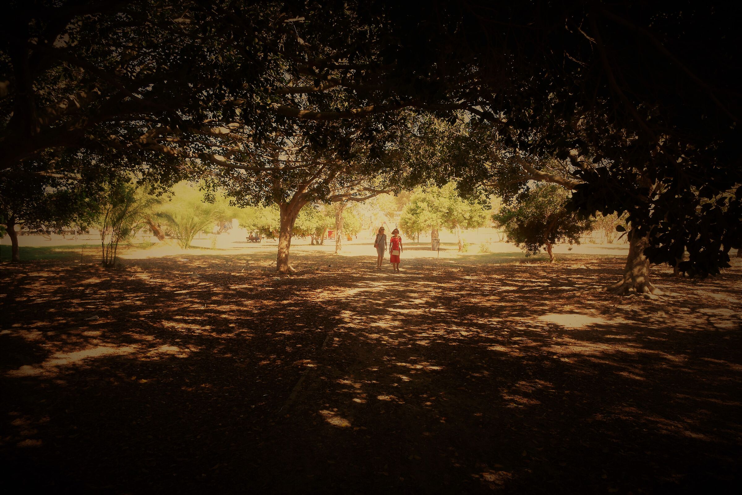 Cercasi ombra disperatamente...