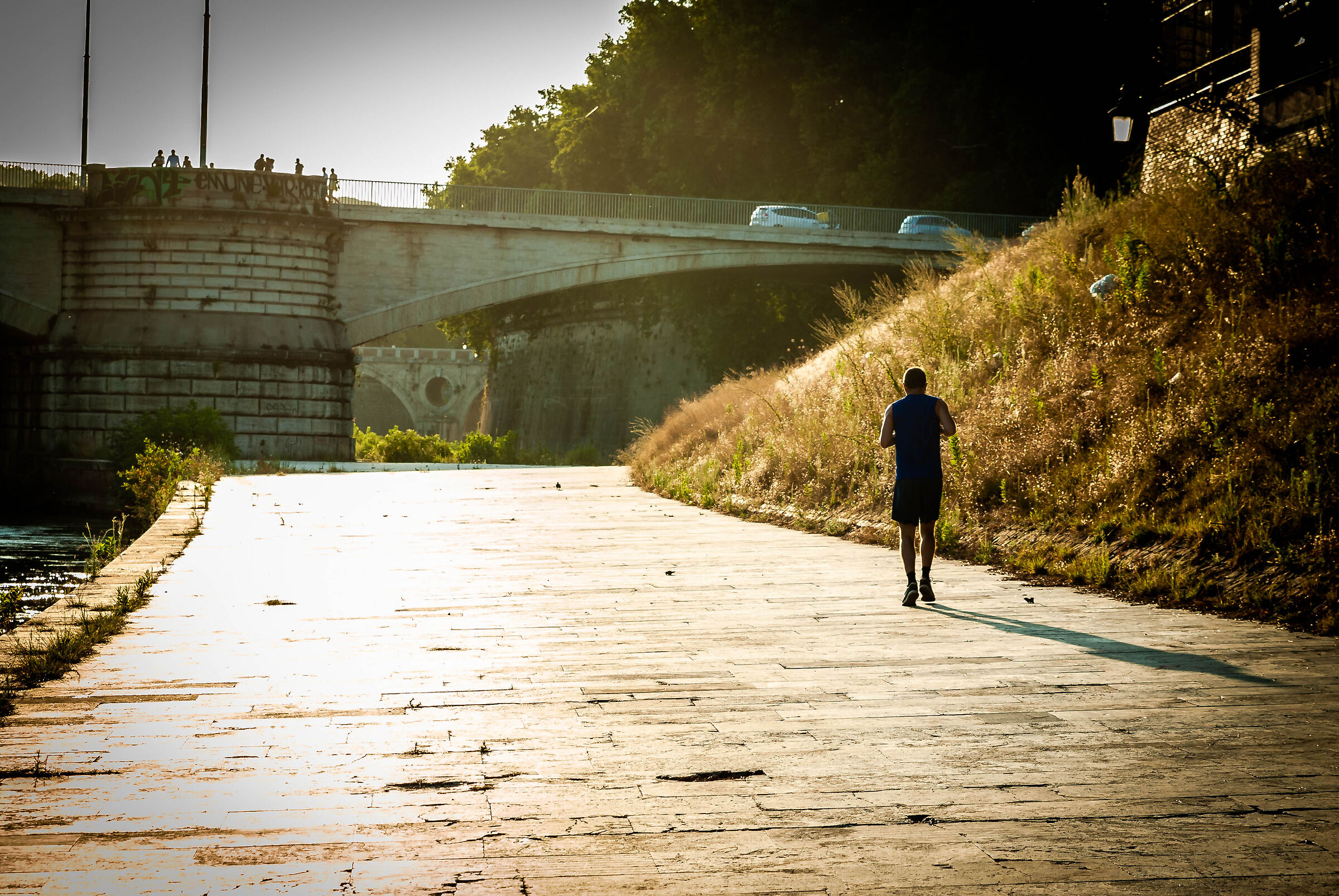 Isola Tiberina, corridore.