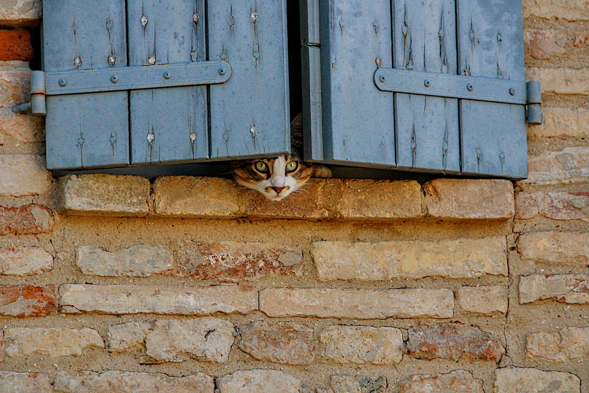 Spionaggio