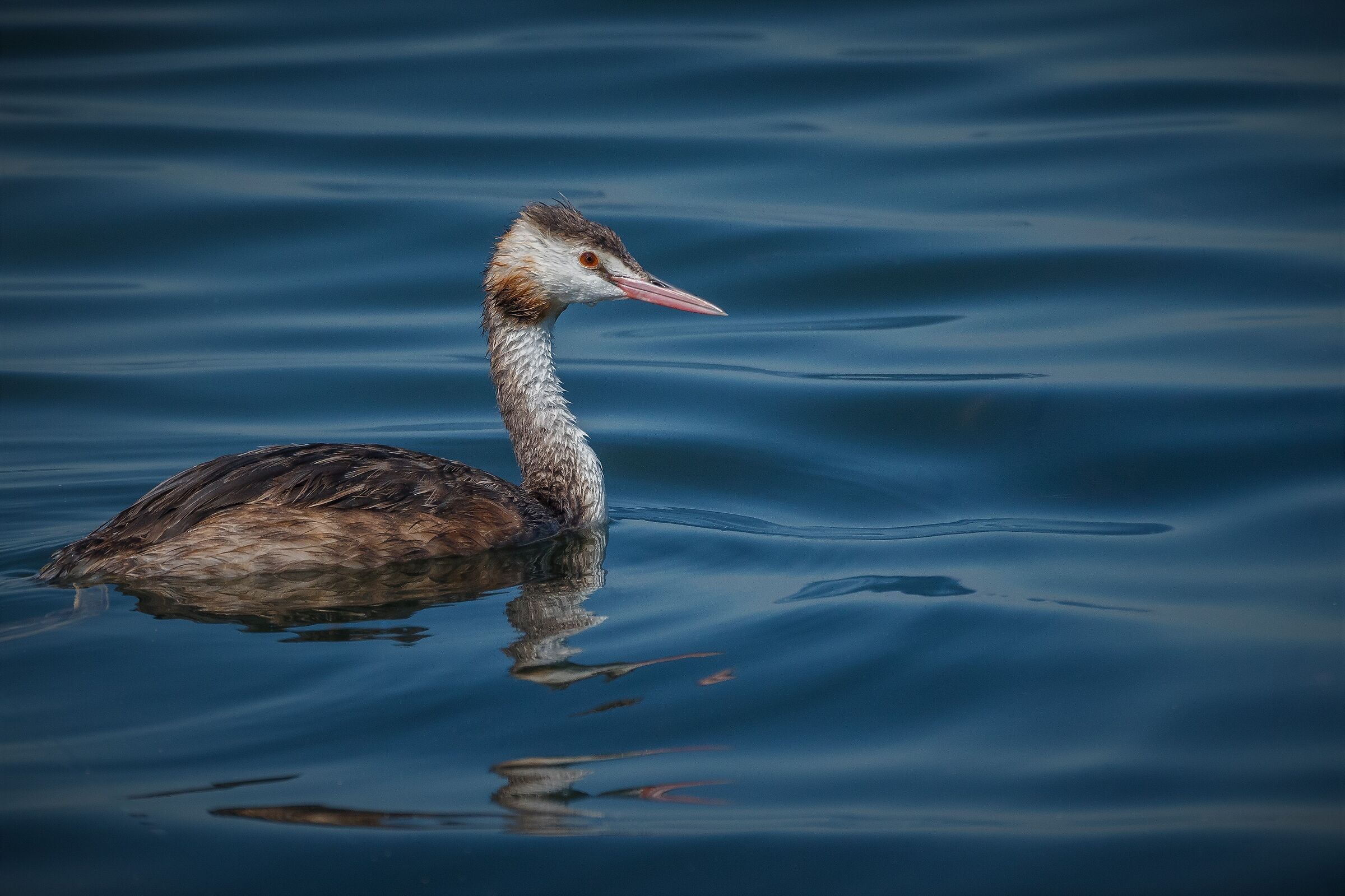 slipping and floating No. 5