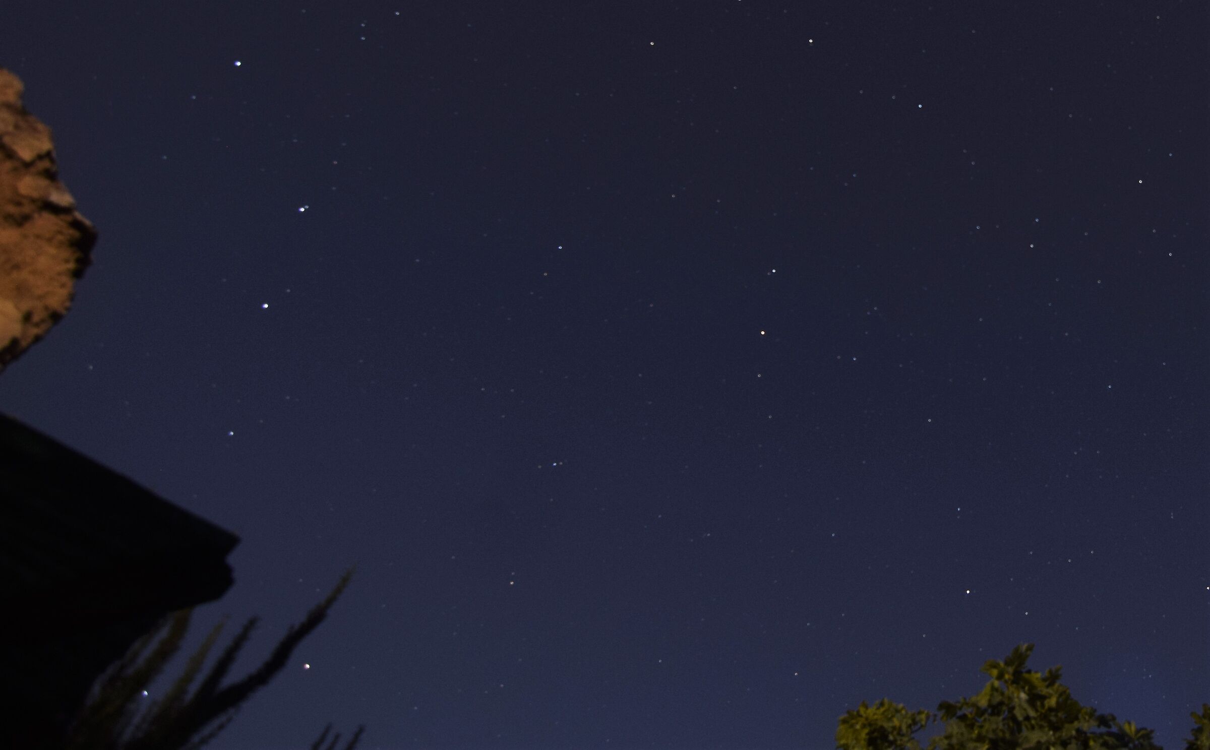 Lysa Minor above the fig