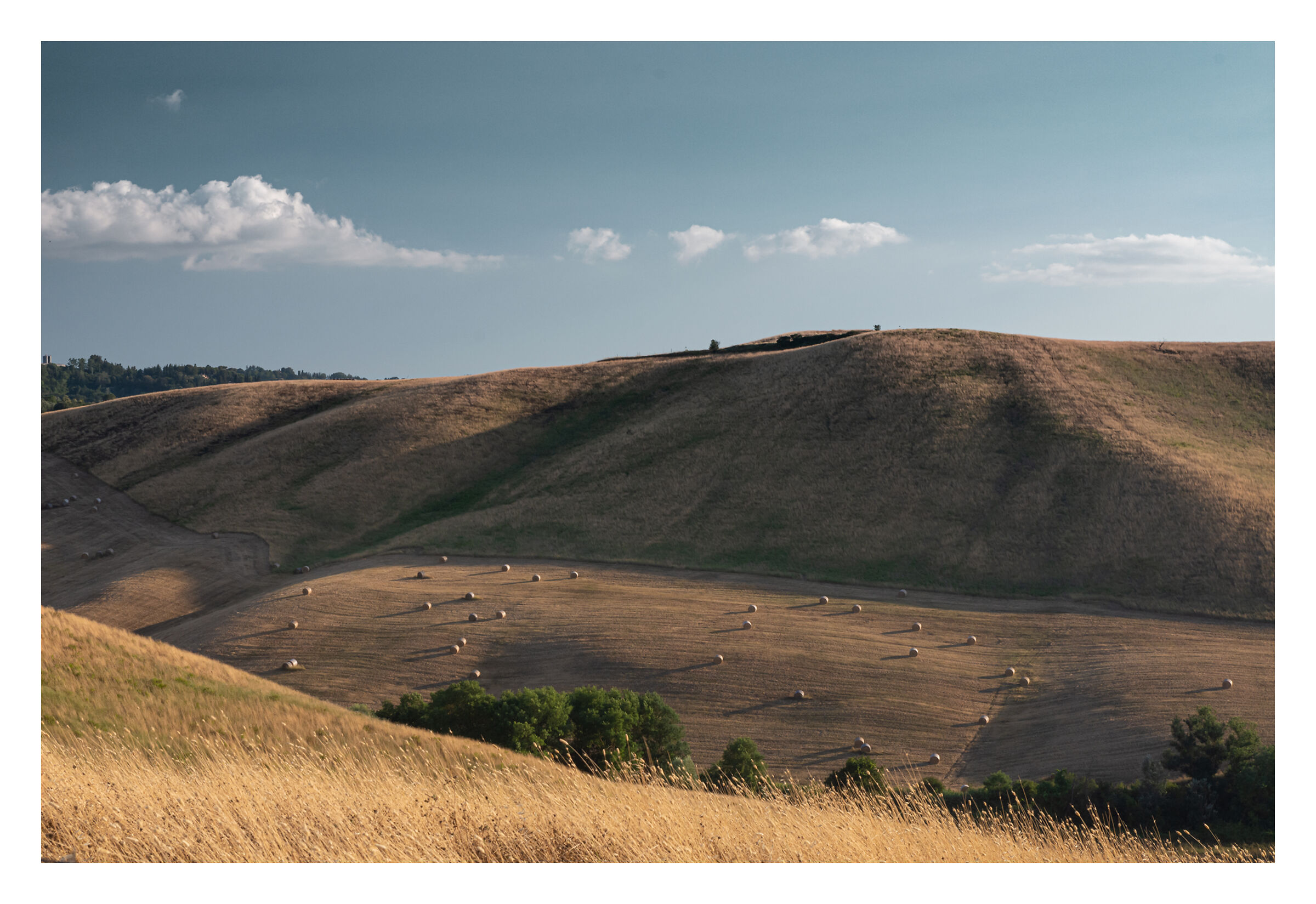 Nelle campagne della Val d'Elsa