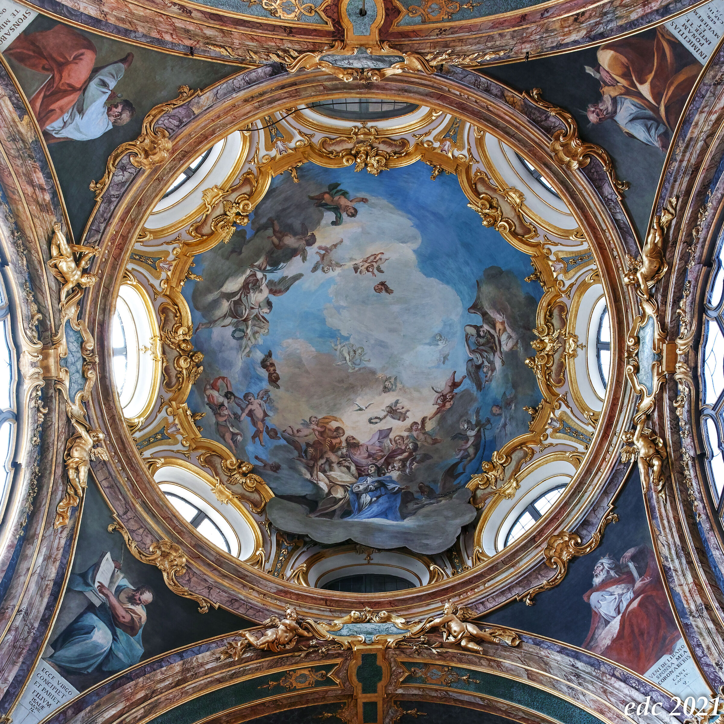 The dome of the Immaculate Conception in S. Francesco di Pav...