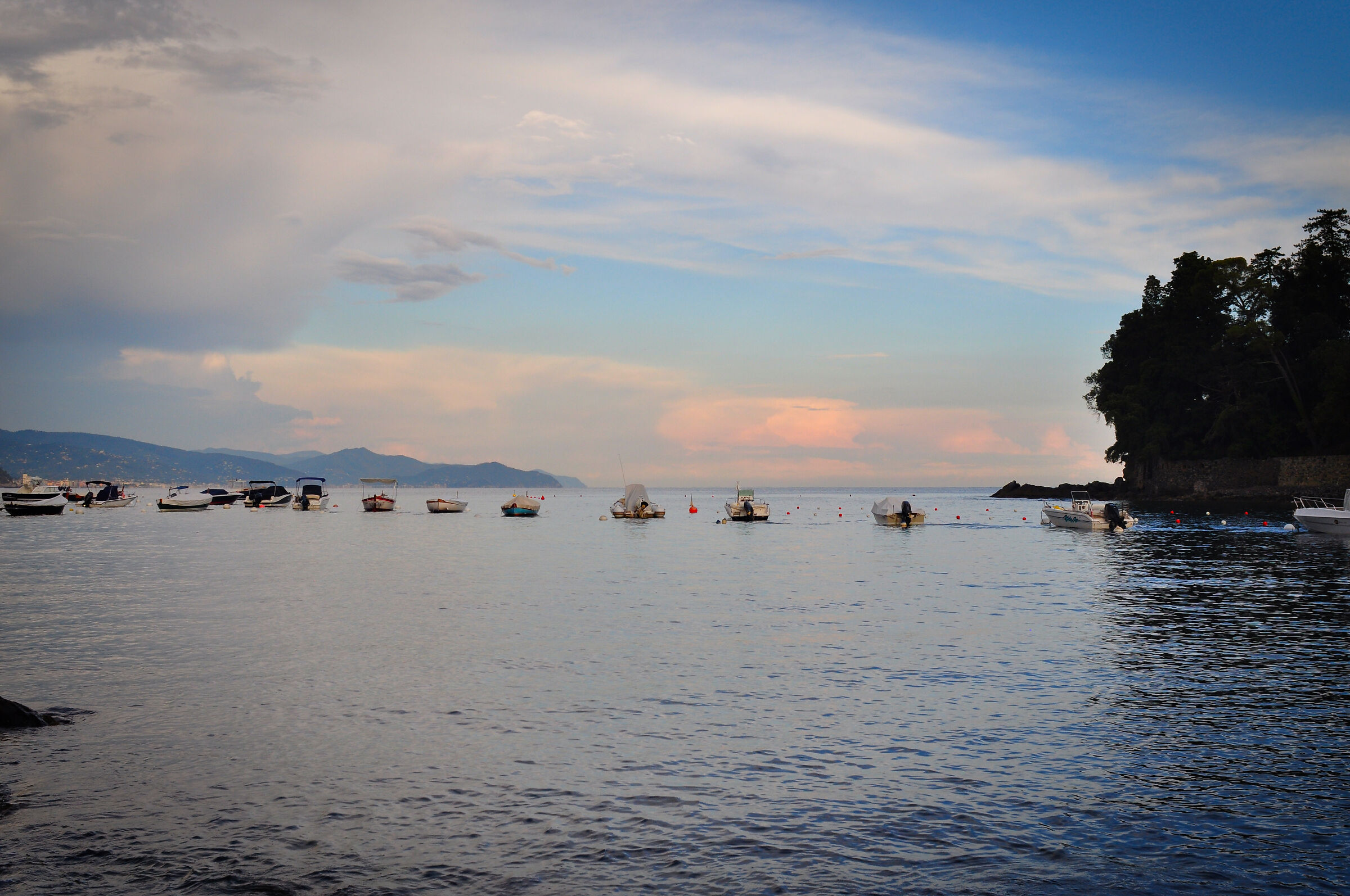 Boats lined up