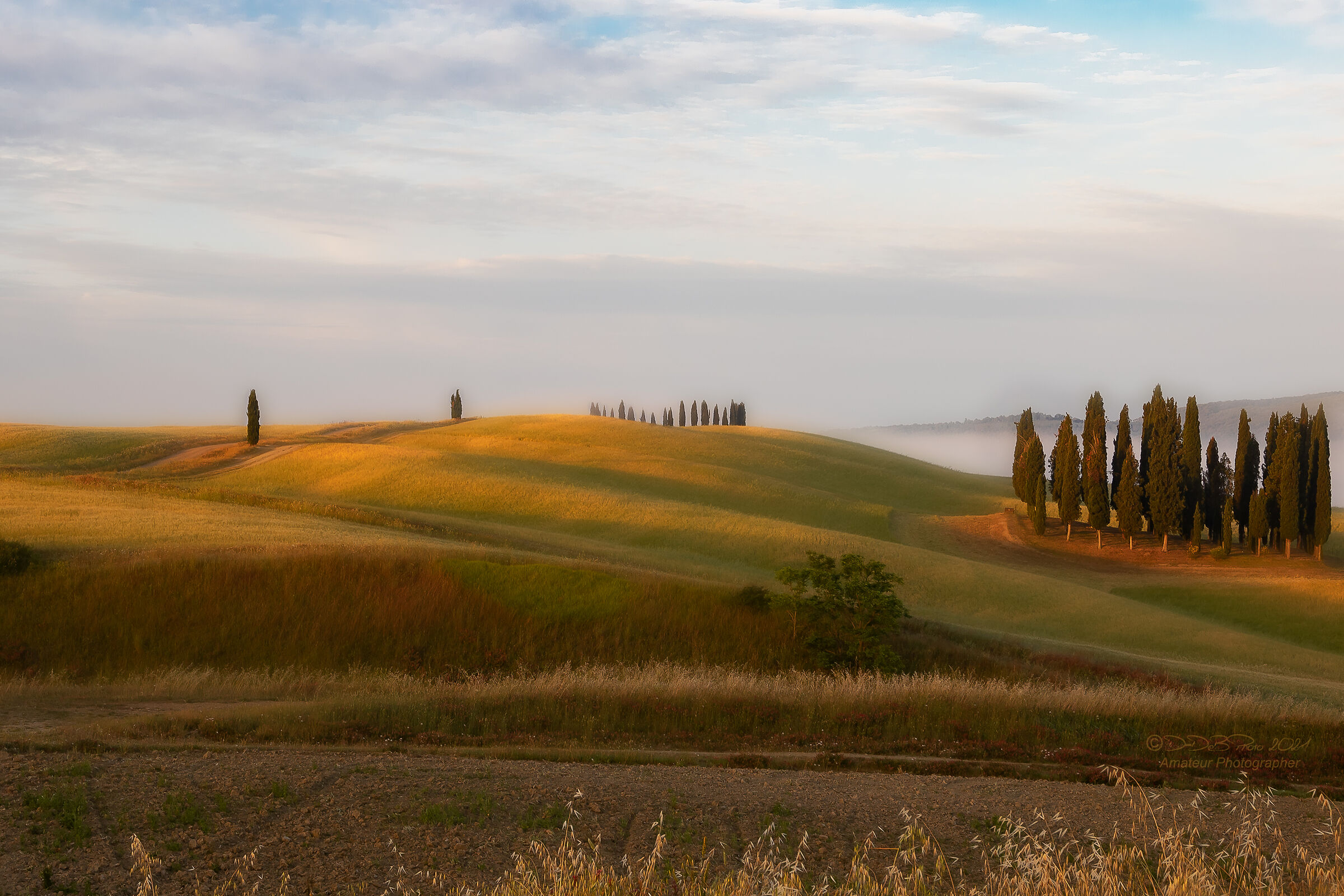 Alba a S.Quirico d'Orcia