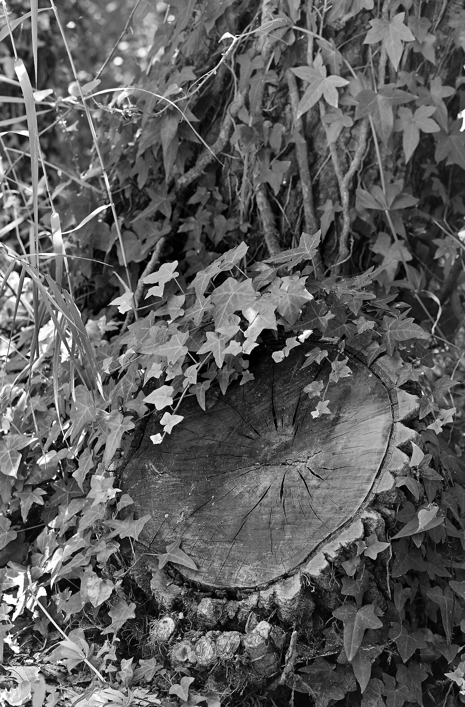 Fine di un amore malato