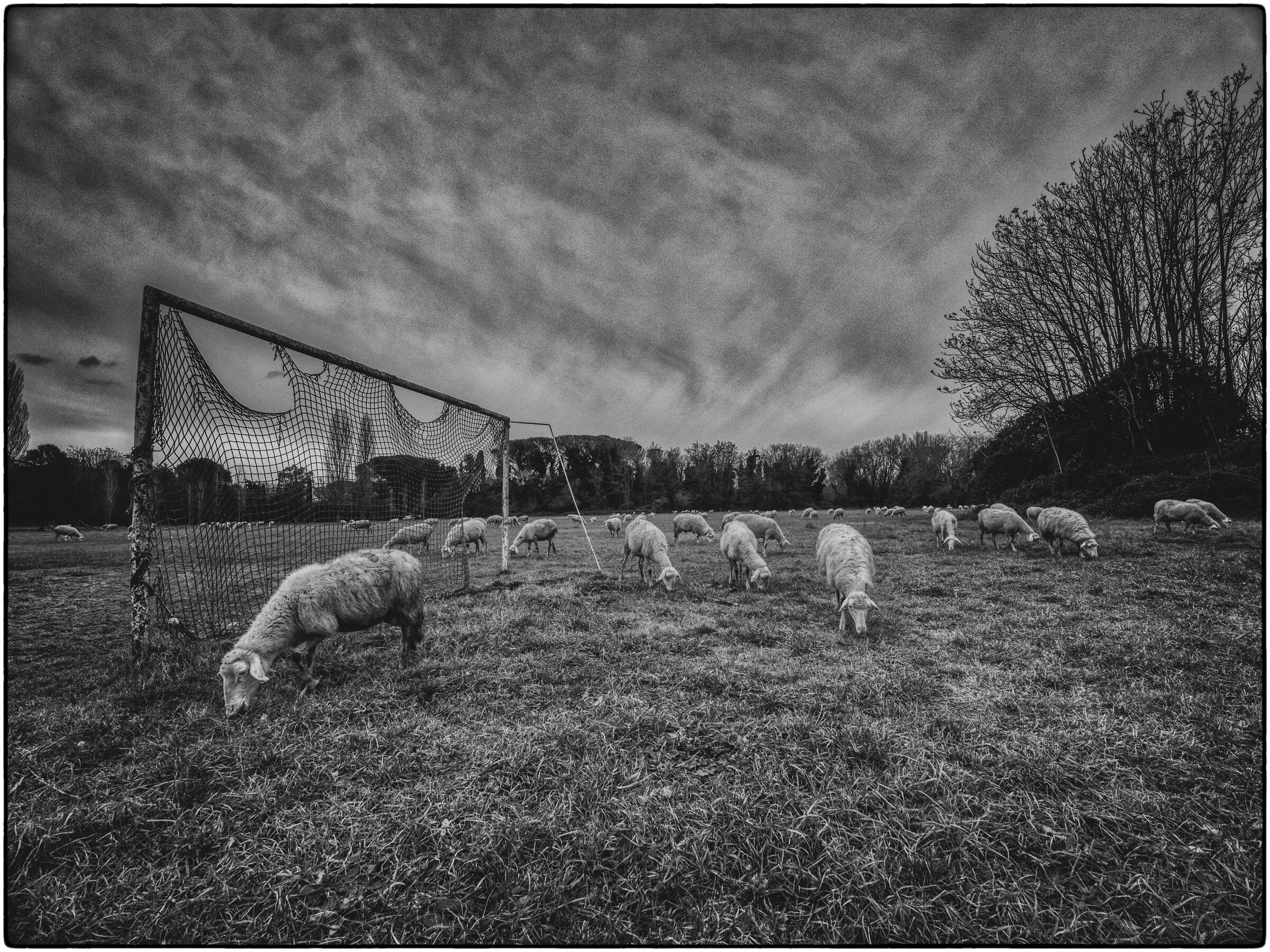 Wembley Stadium dopo due settimane dalla finale…
