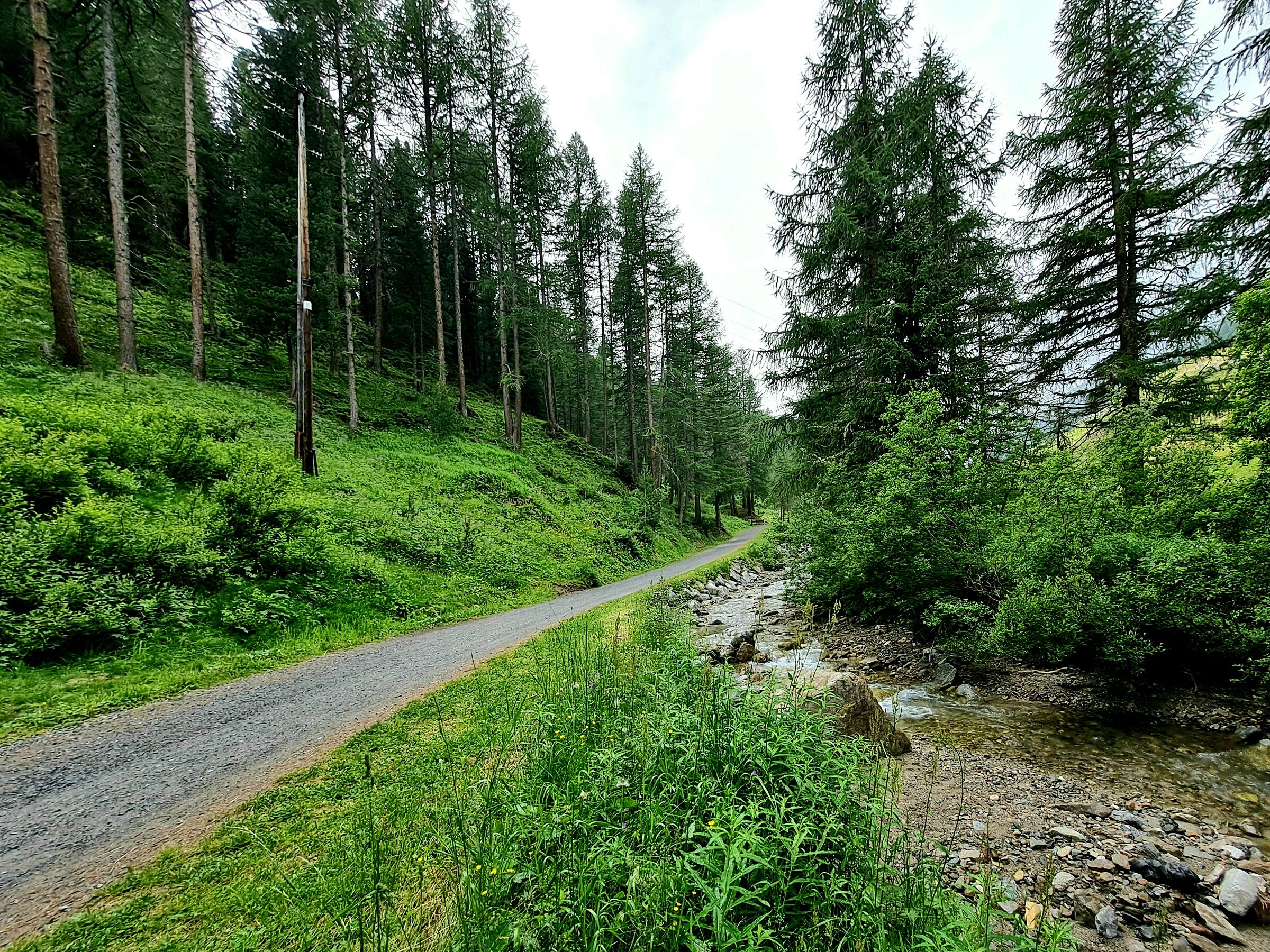 Val Federia