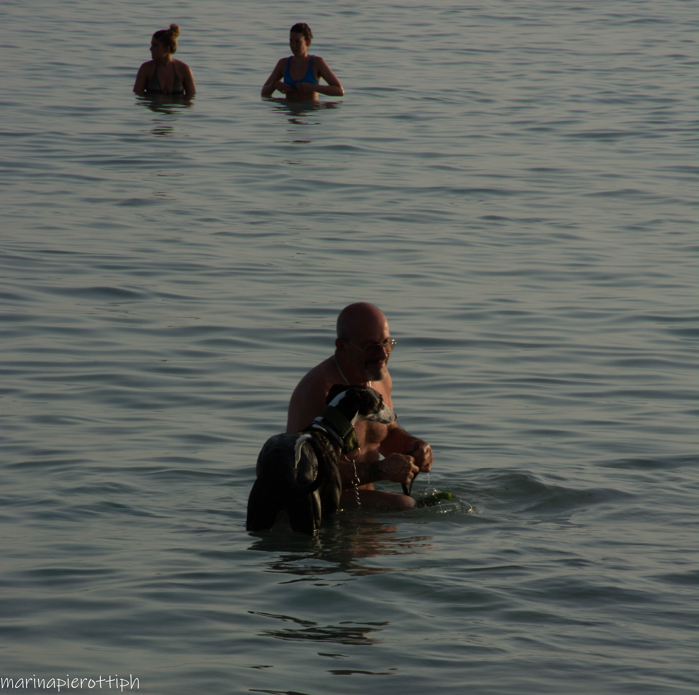 IN THE SEA