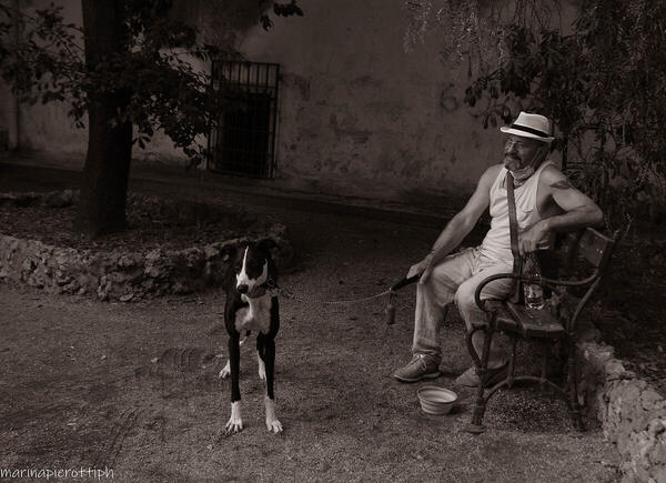 Foto