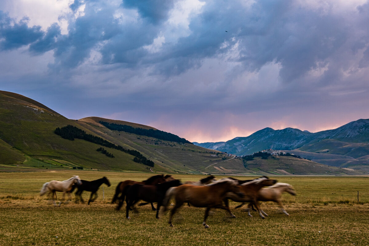 L'alba di Castelluccio