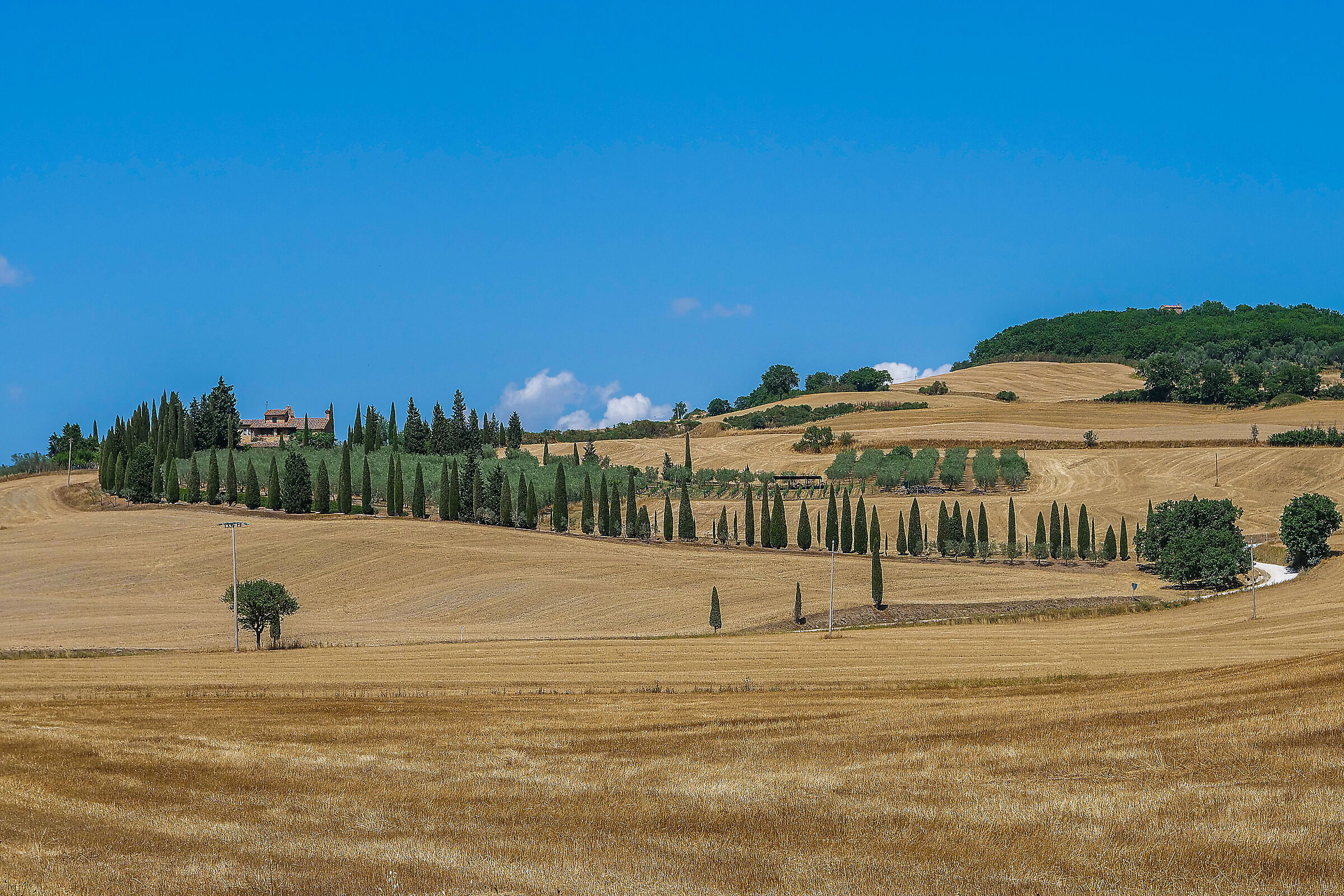 Nei pressi di Pienza