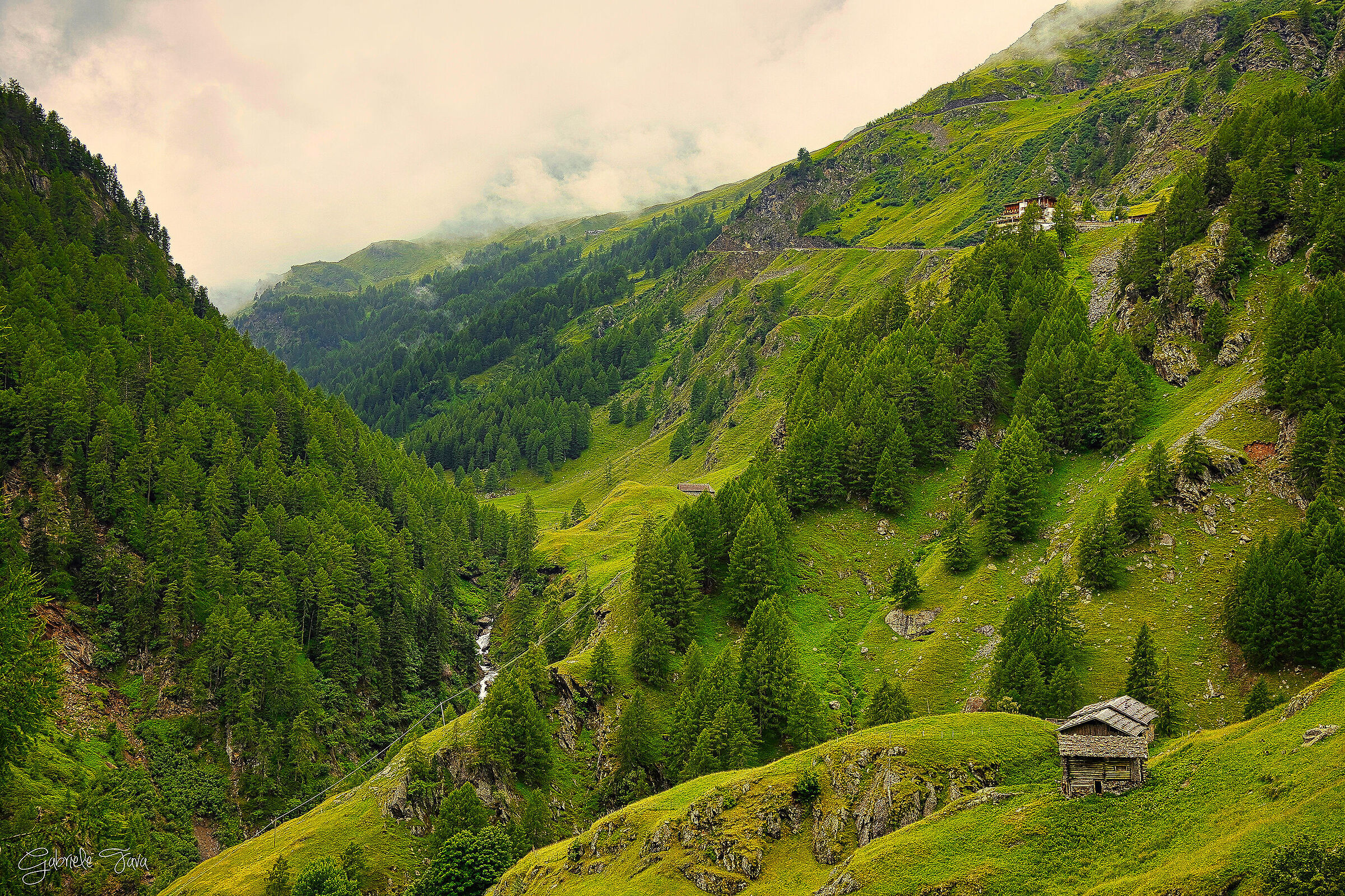 paesaggio nei pressi di passo Rombo (Alto Adige)