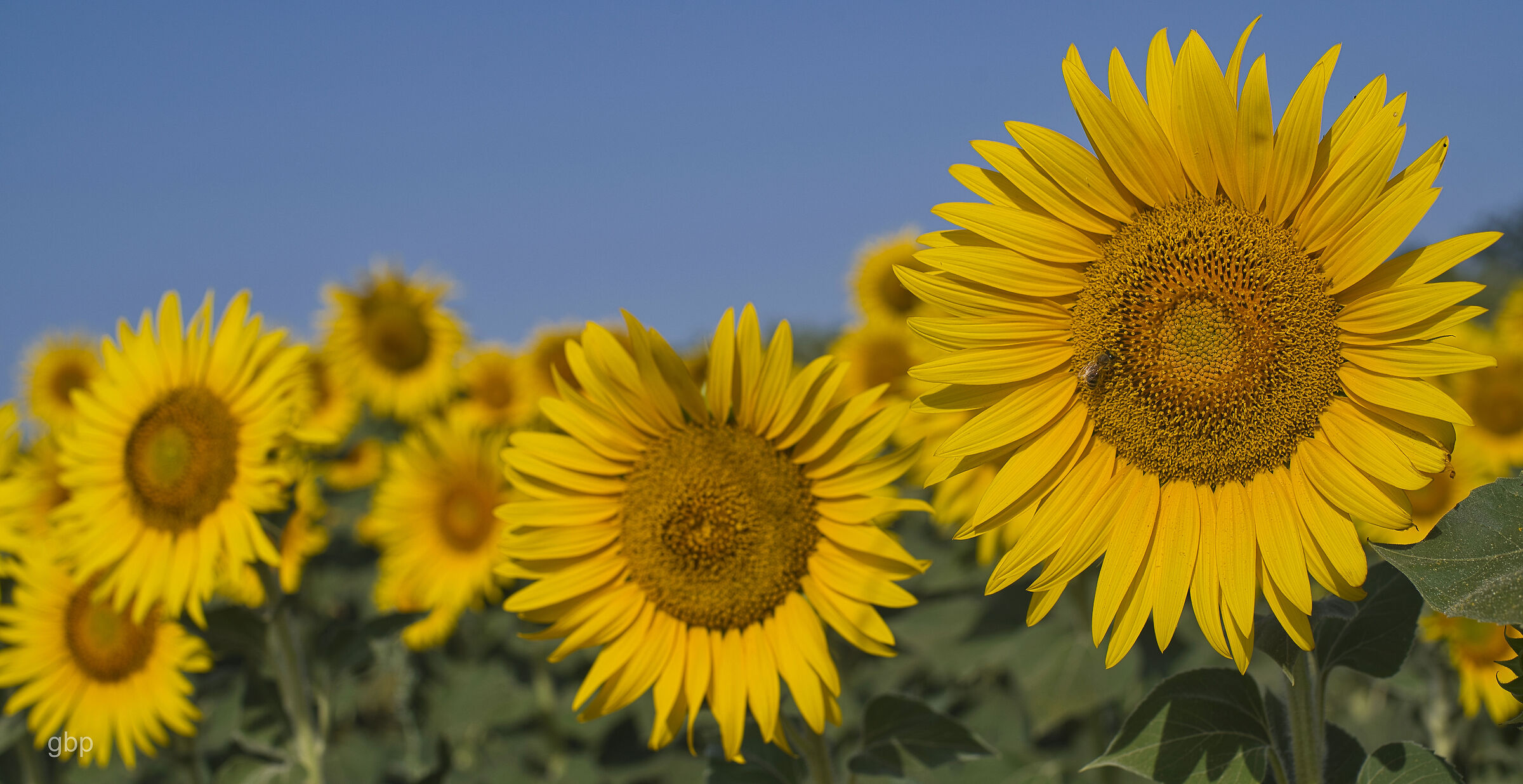 di cielo, sole e futuro