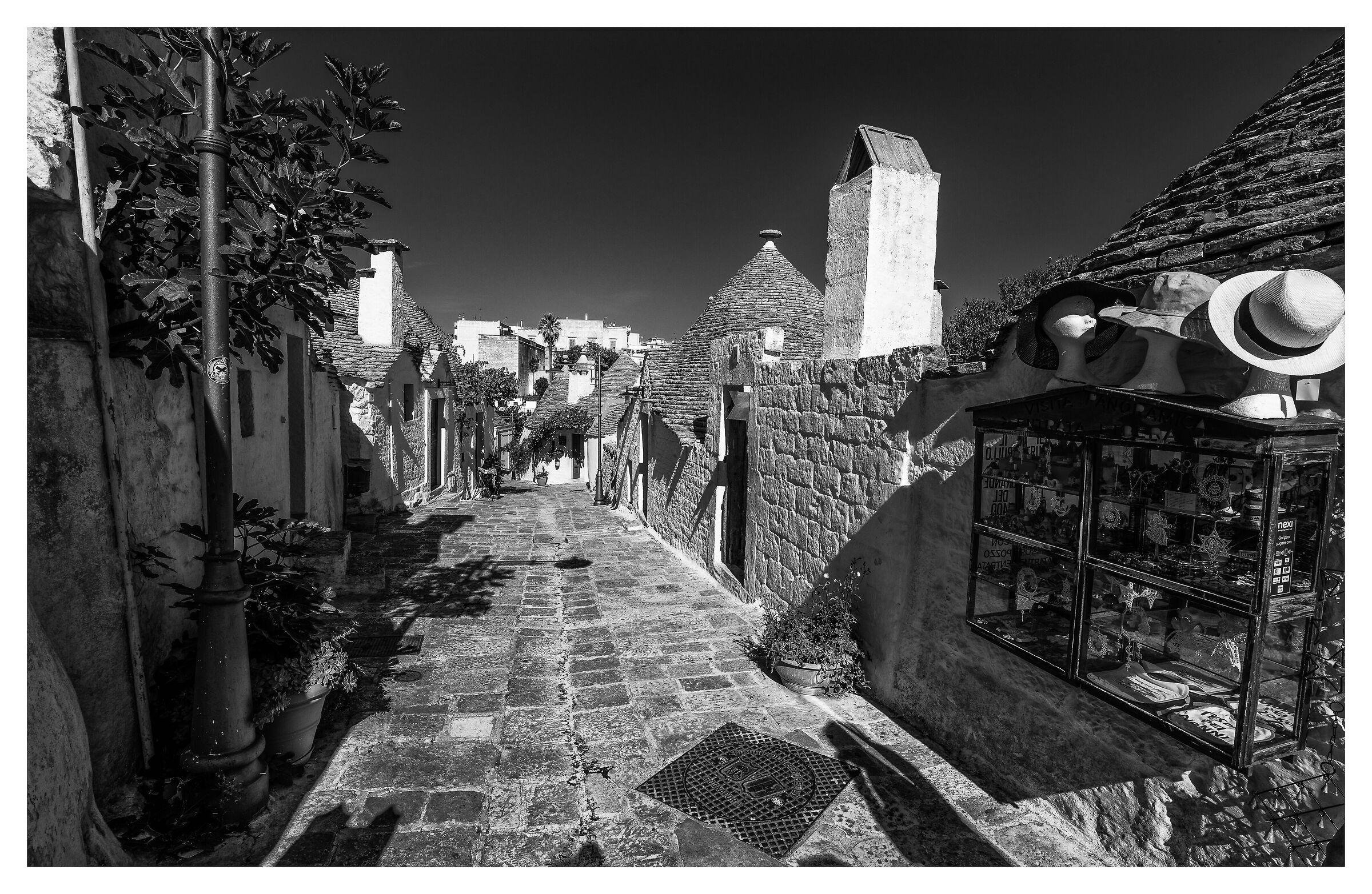The magic of the alleys of Alberobello (Ba)