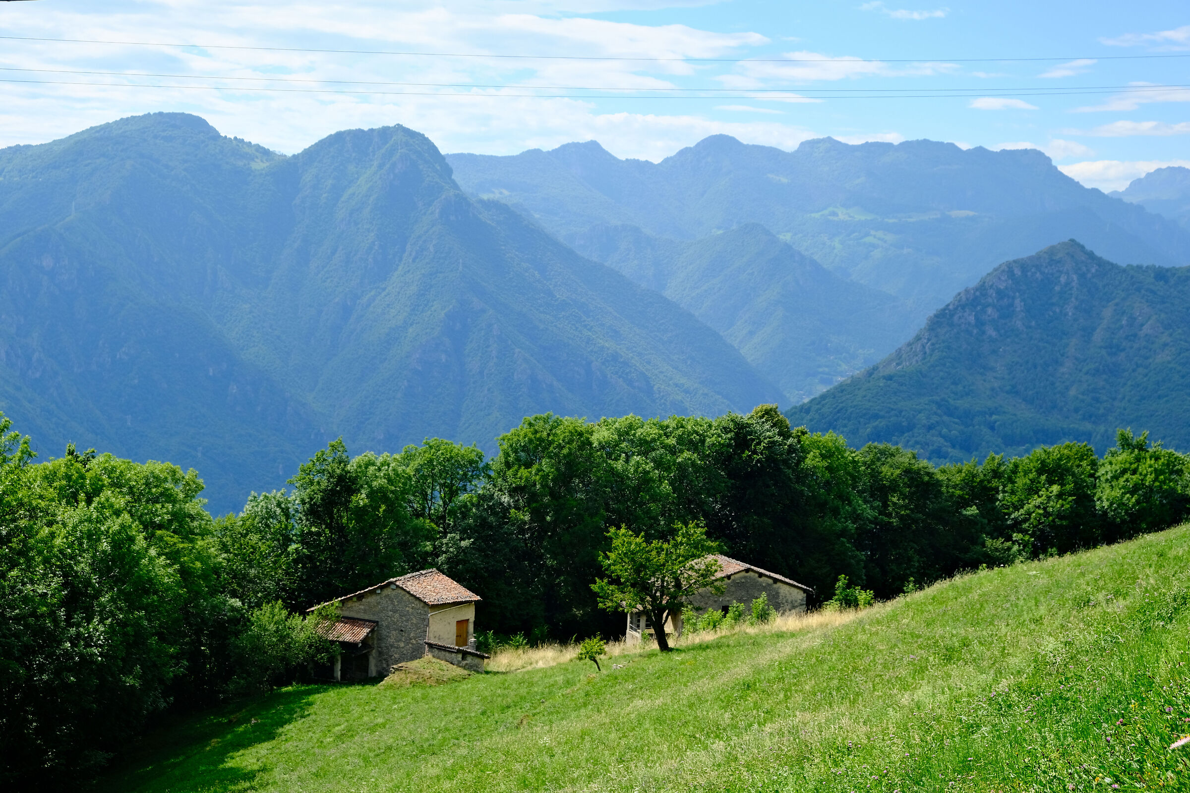 Miragolo San Salvatore - Zogno ( BG )
