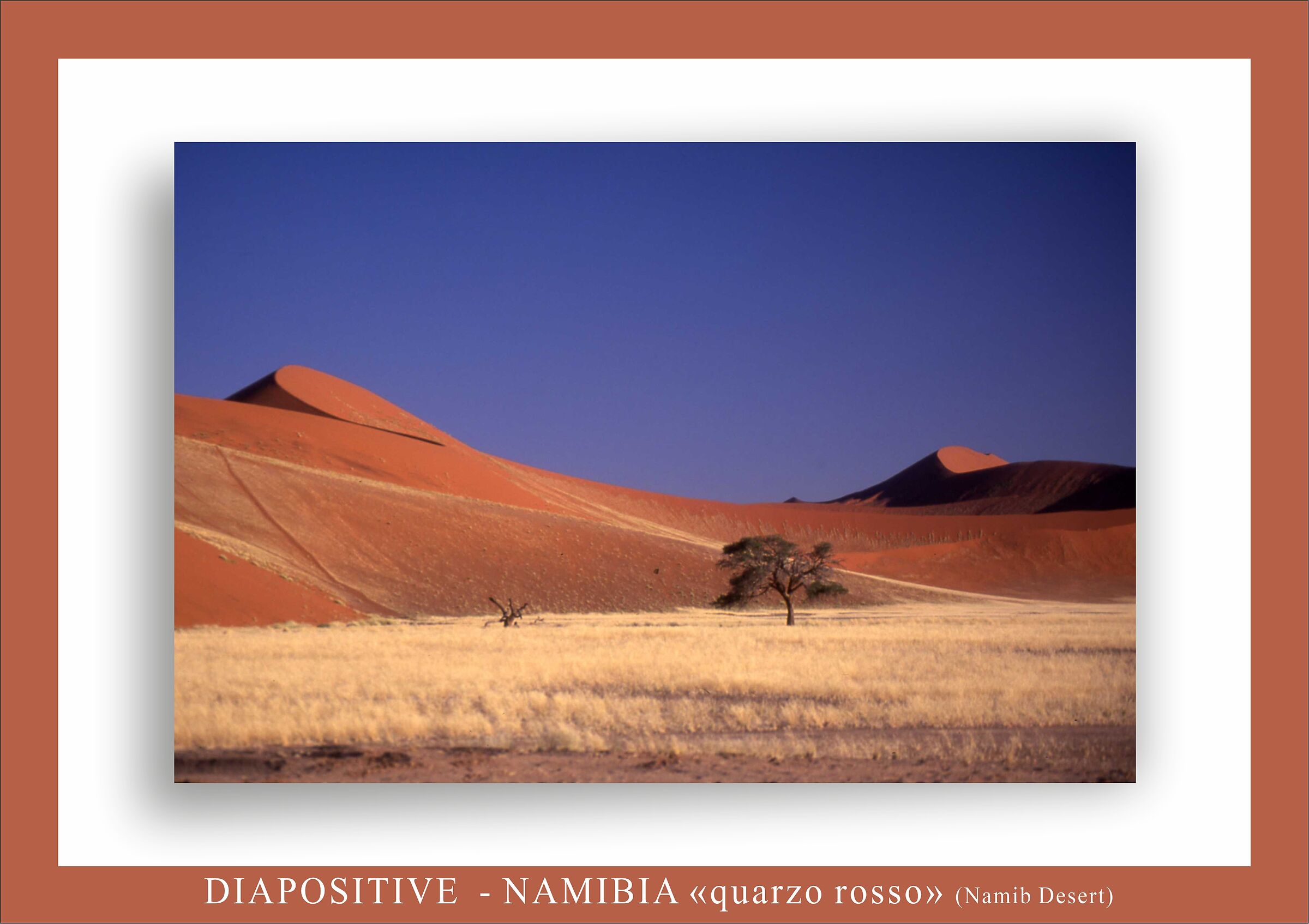Namib Desert dunes