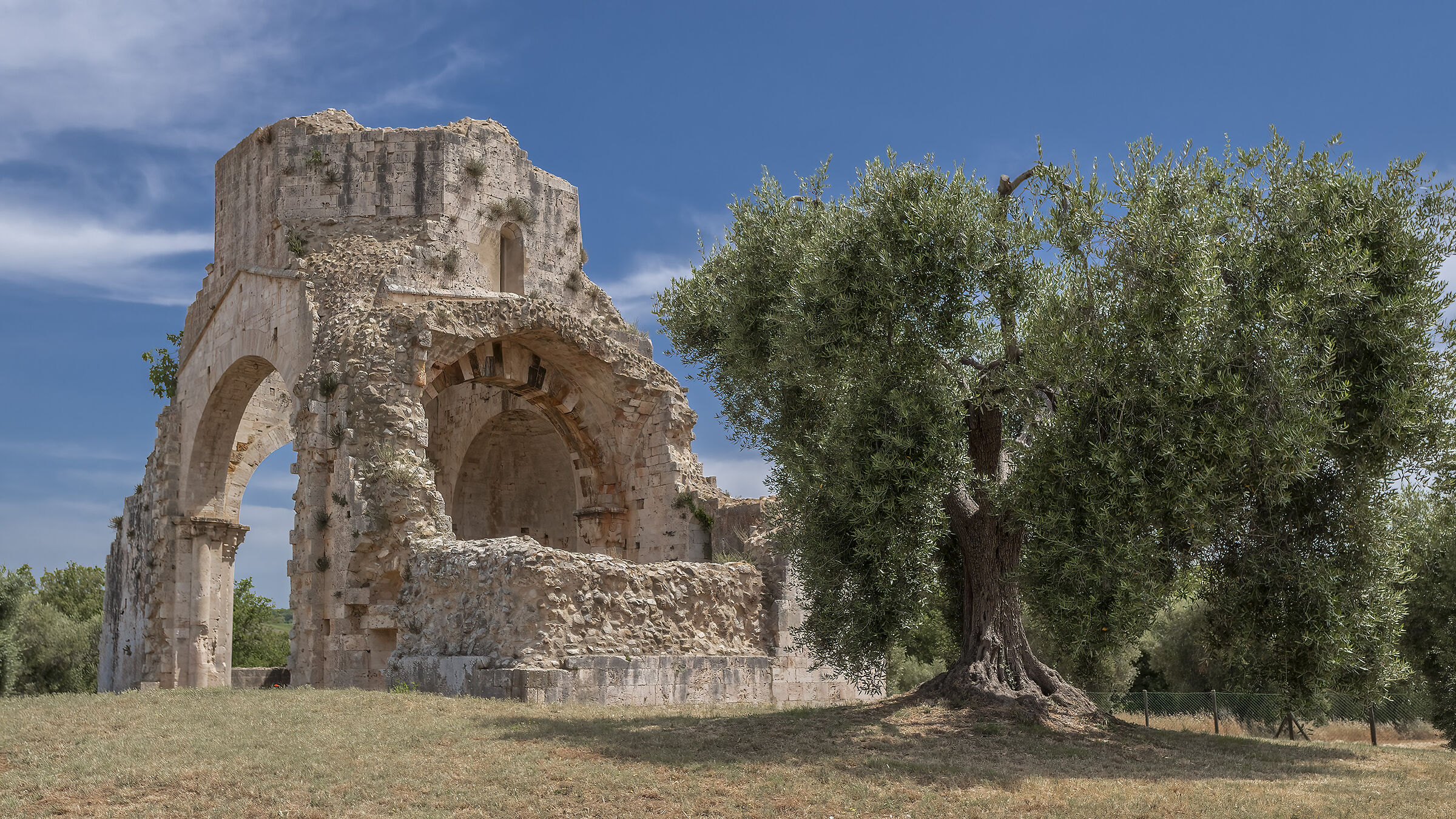 Ruderi dell'Abbazia di San Bruzio - Magliano (gr)