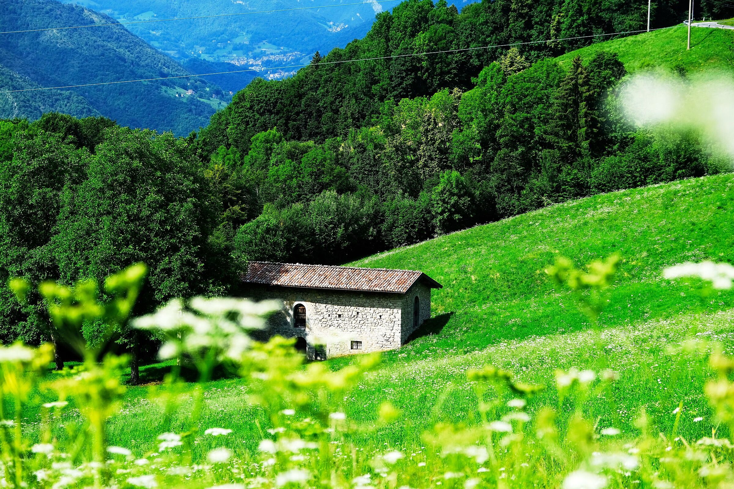 Vecchia stalla - Miragolo San Salvatore - Zogno ( BG )