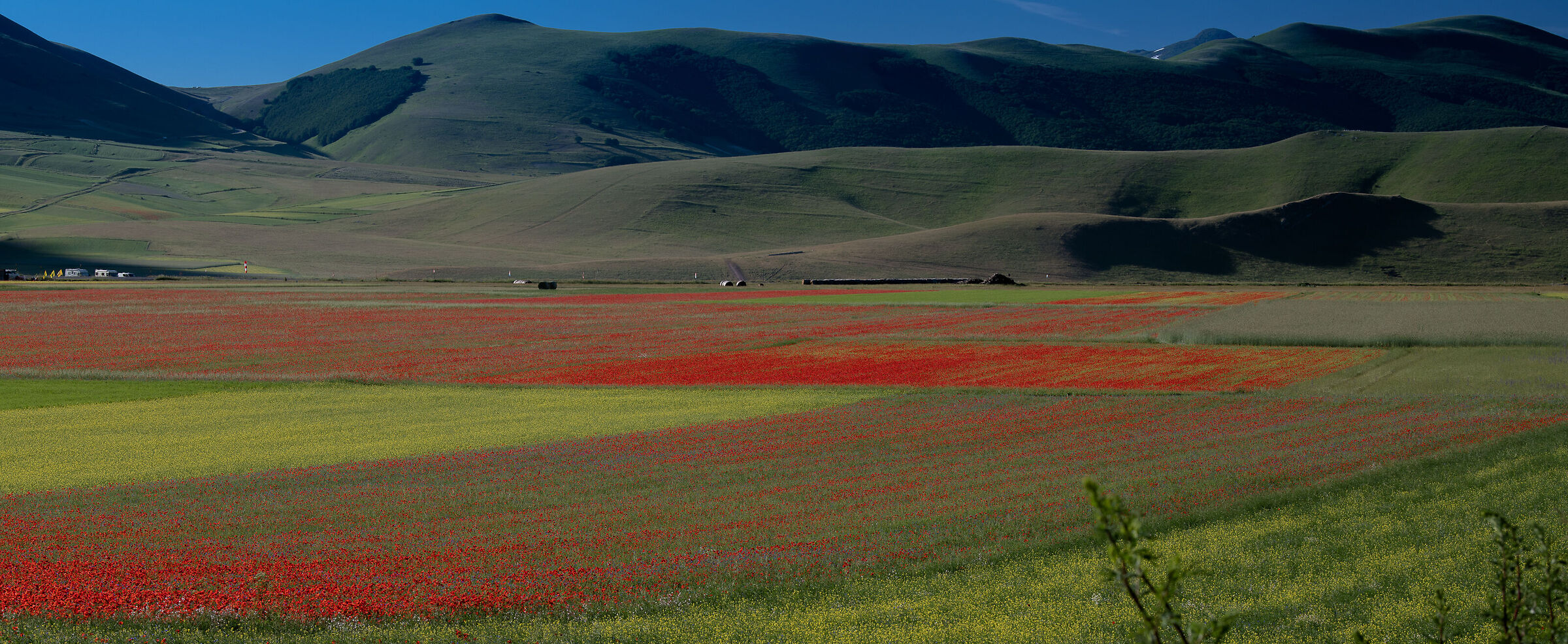 Castelluccio