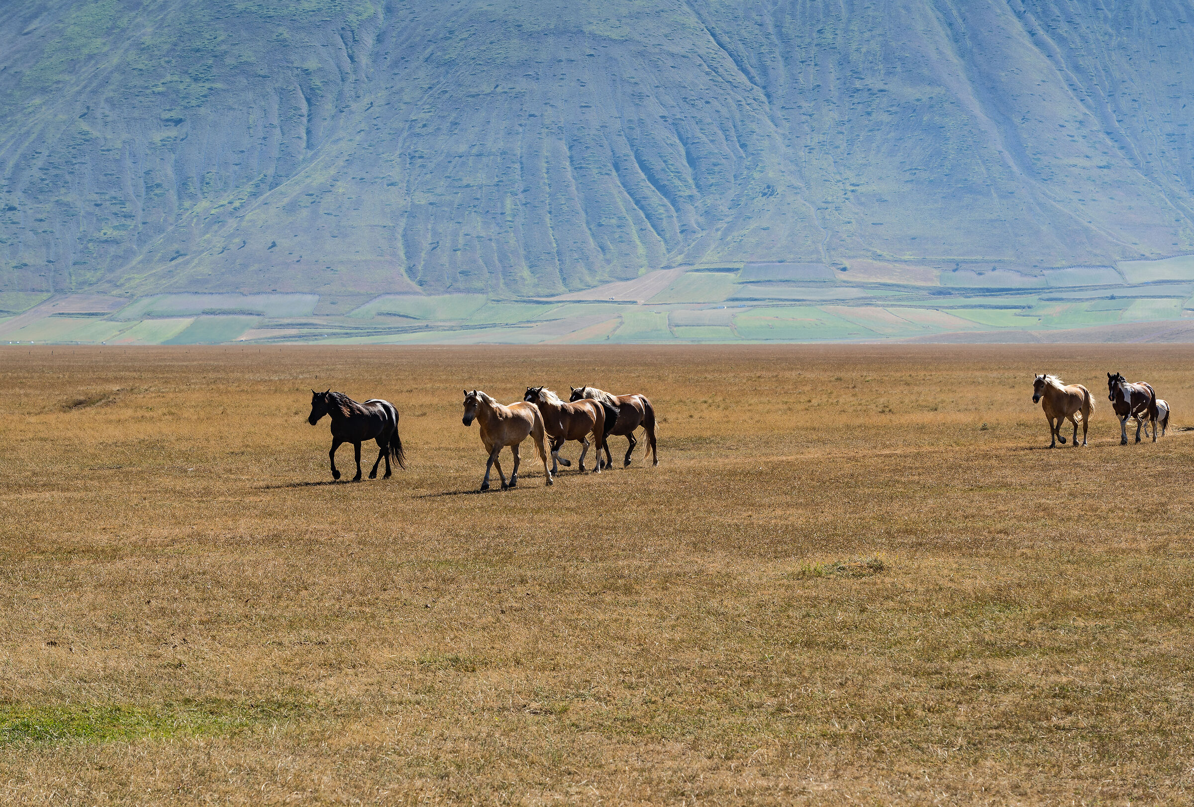 La piana di  Castelluccio
