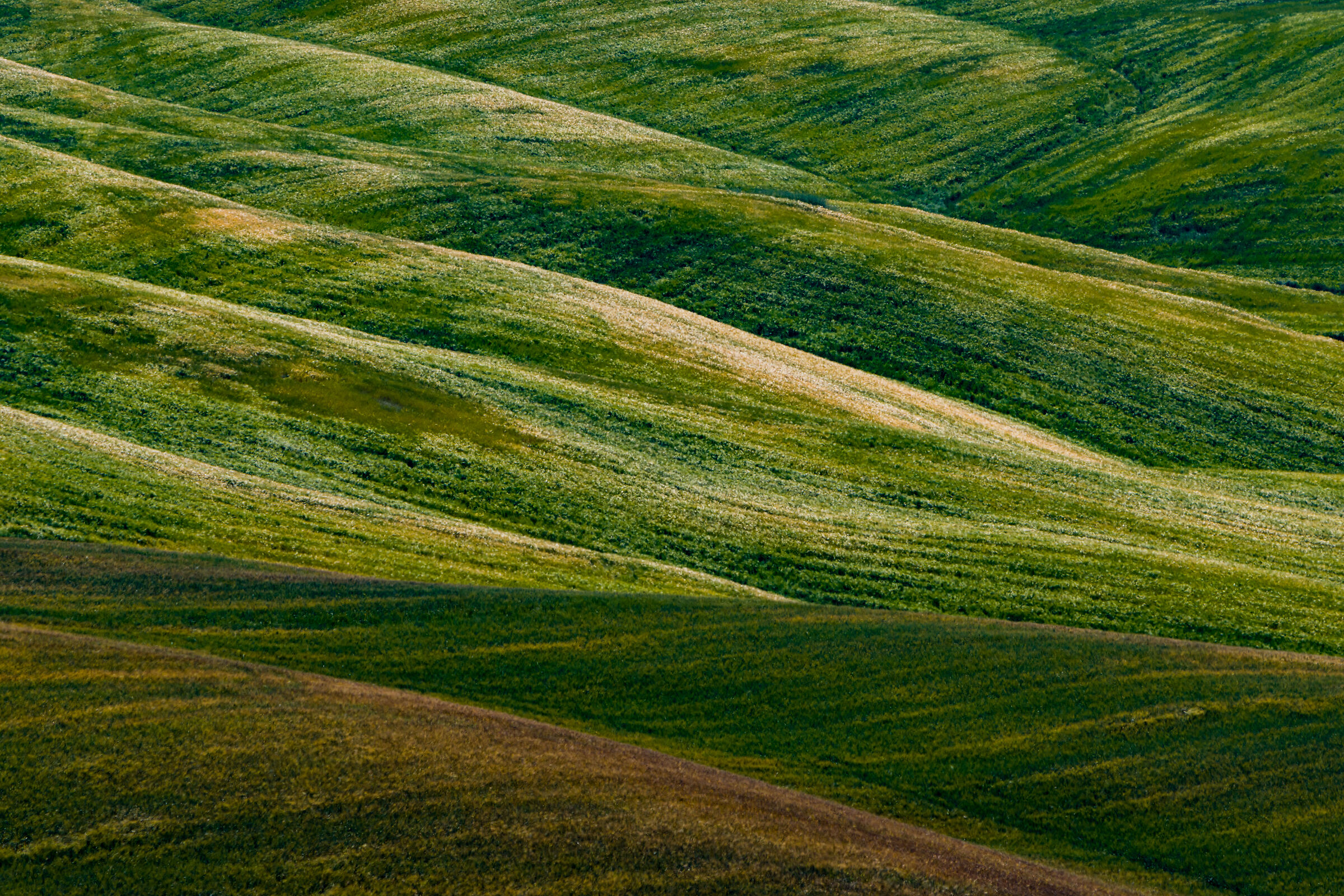 Rolling Tuscan hills