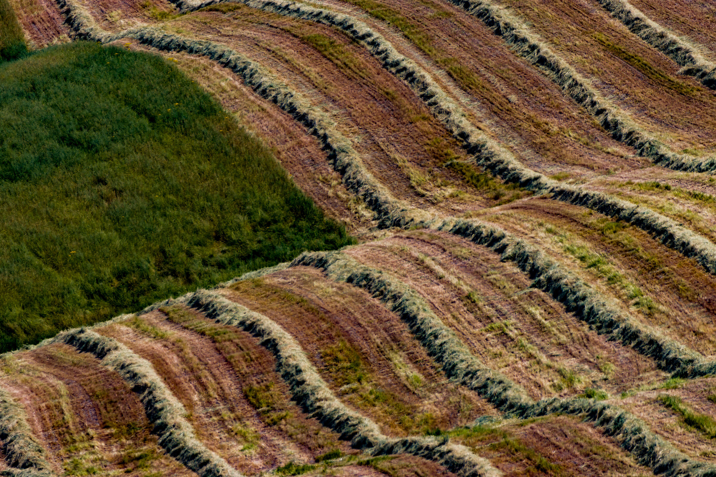 Lines and boundaries