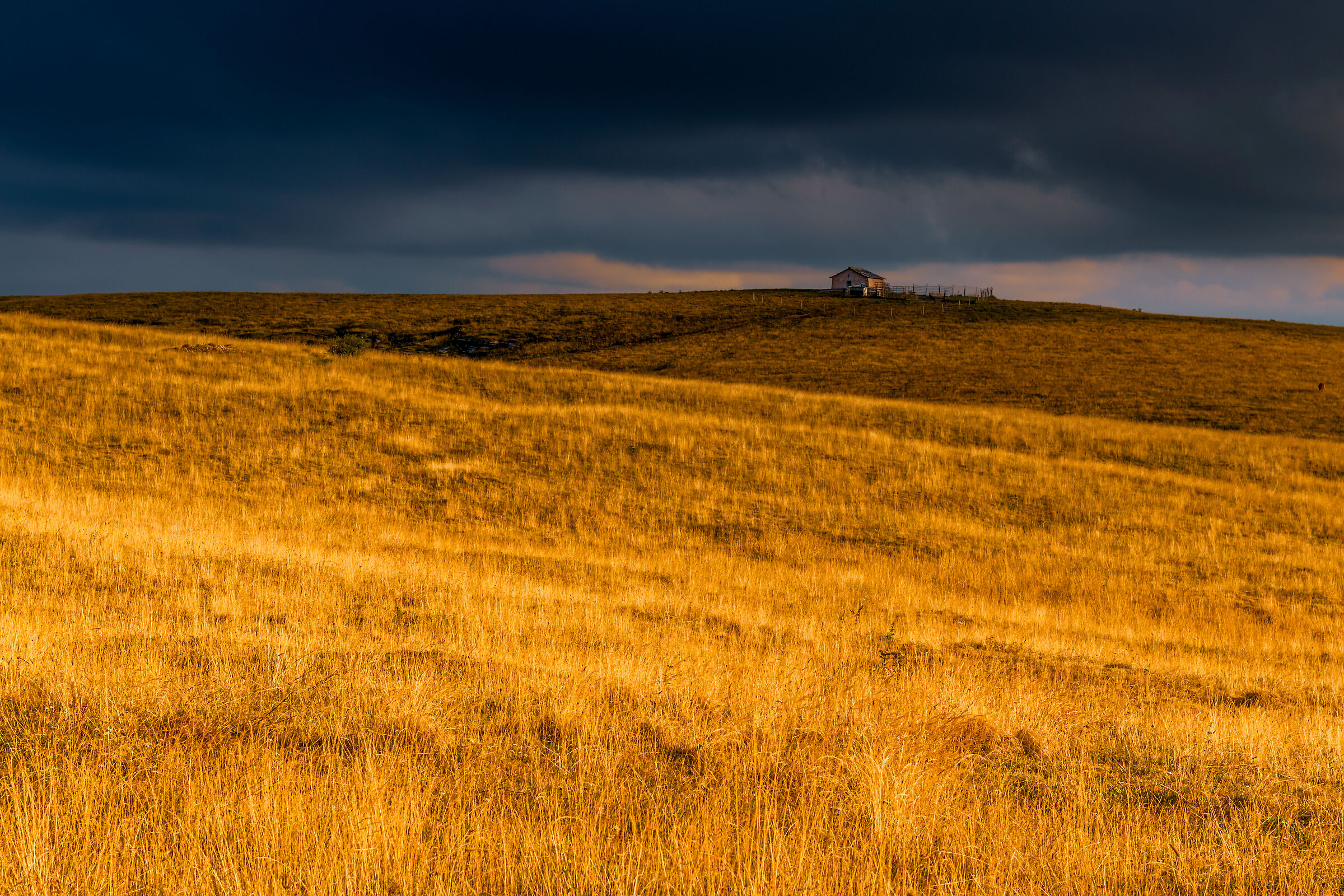 The golden hour before the thunderstorm