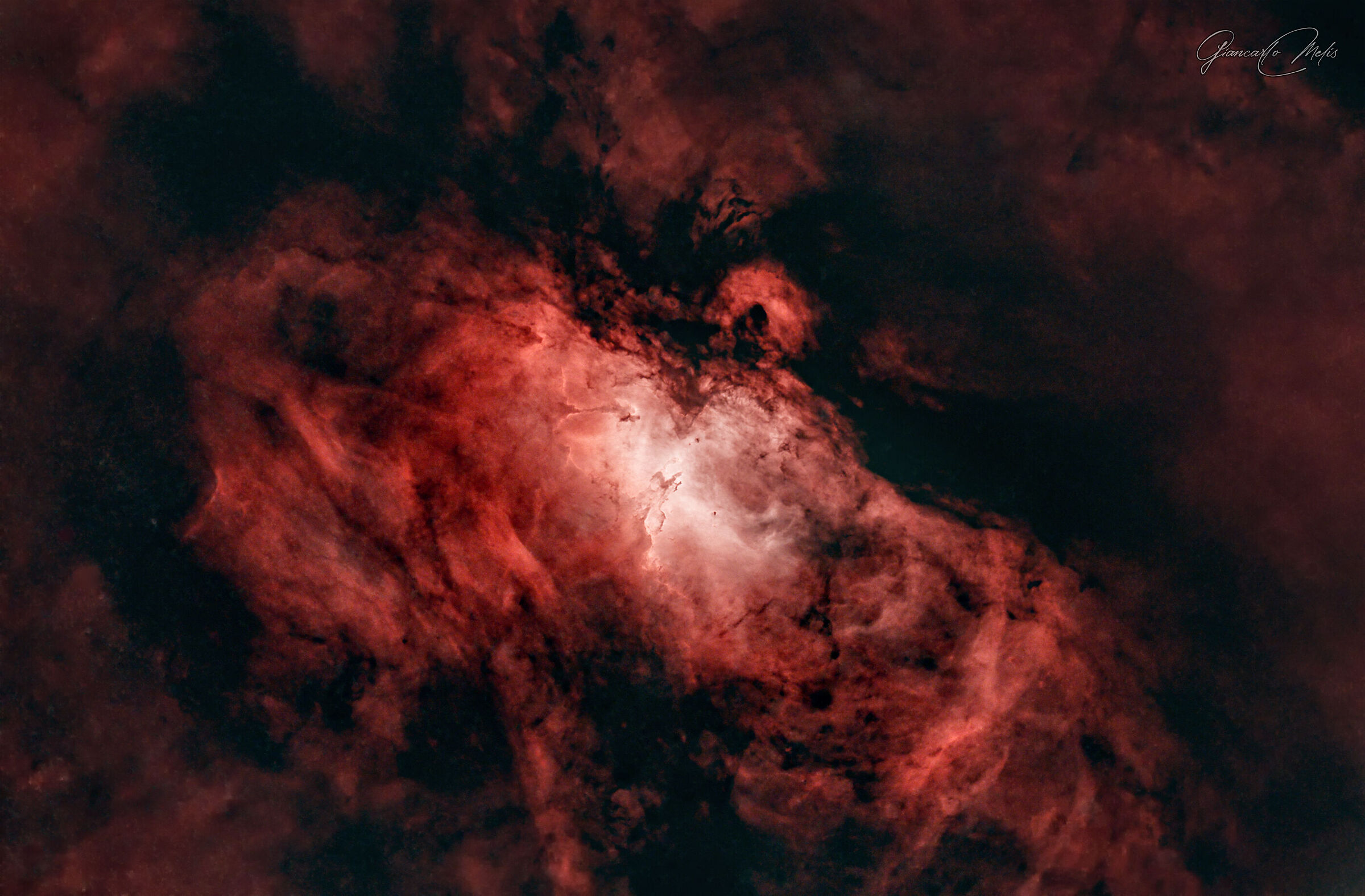 Starless Eagle