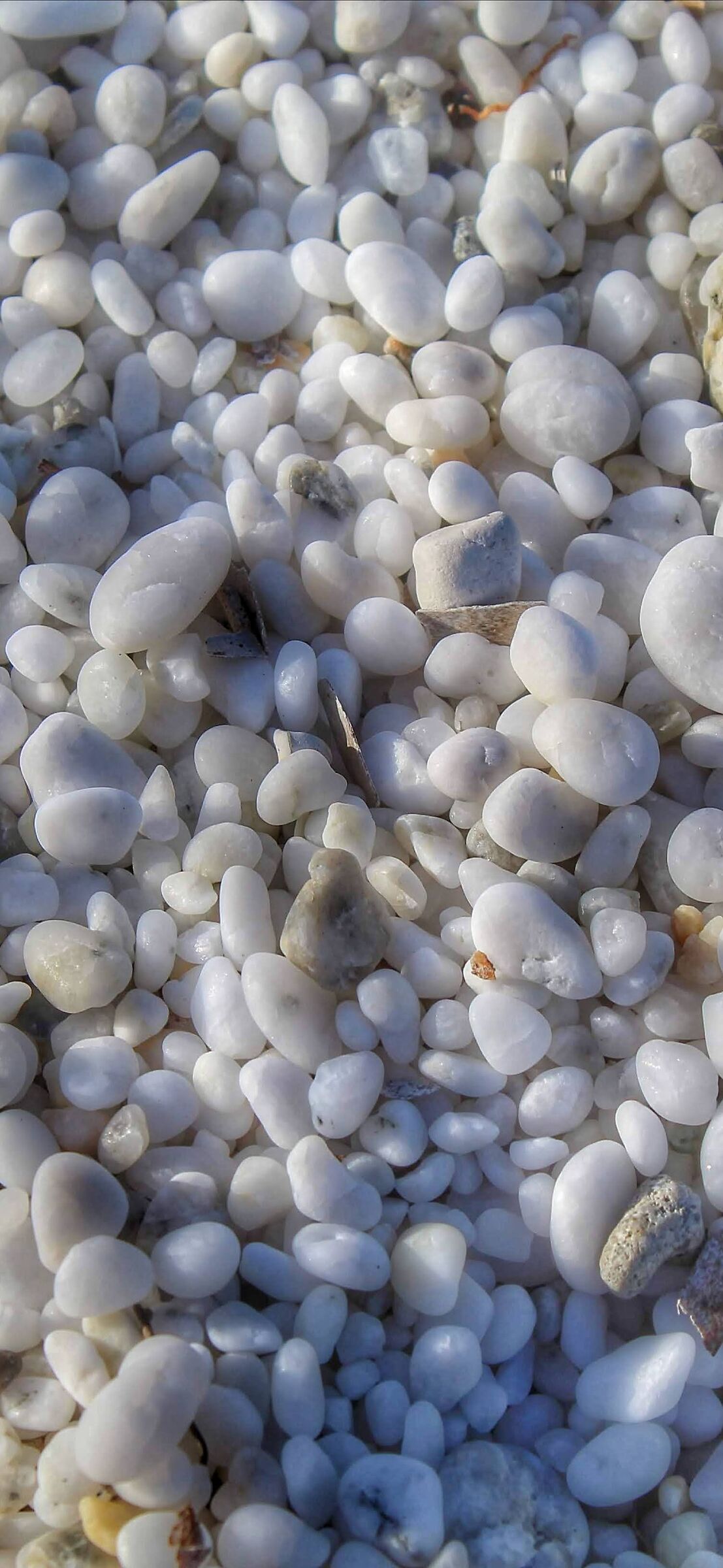 "The object of desire"