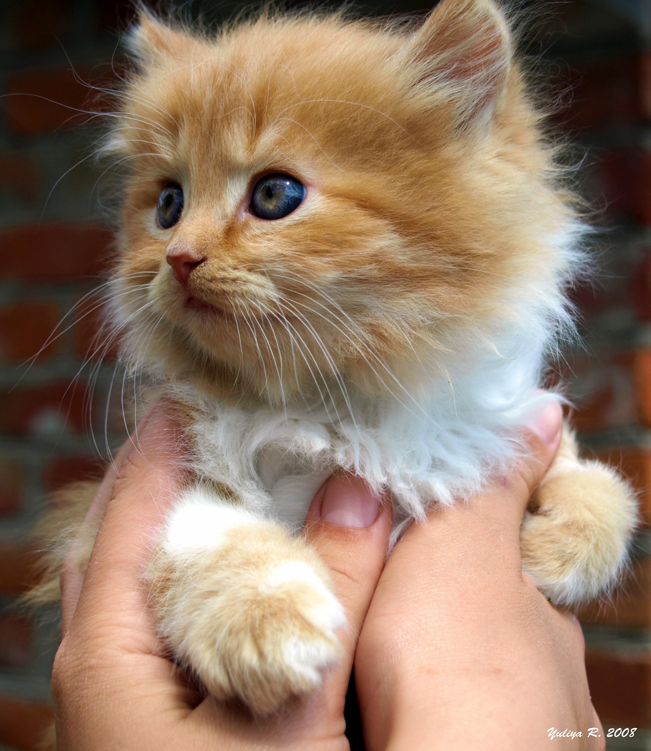 I'm your friend forever