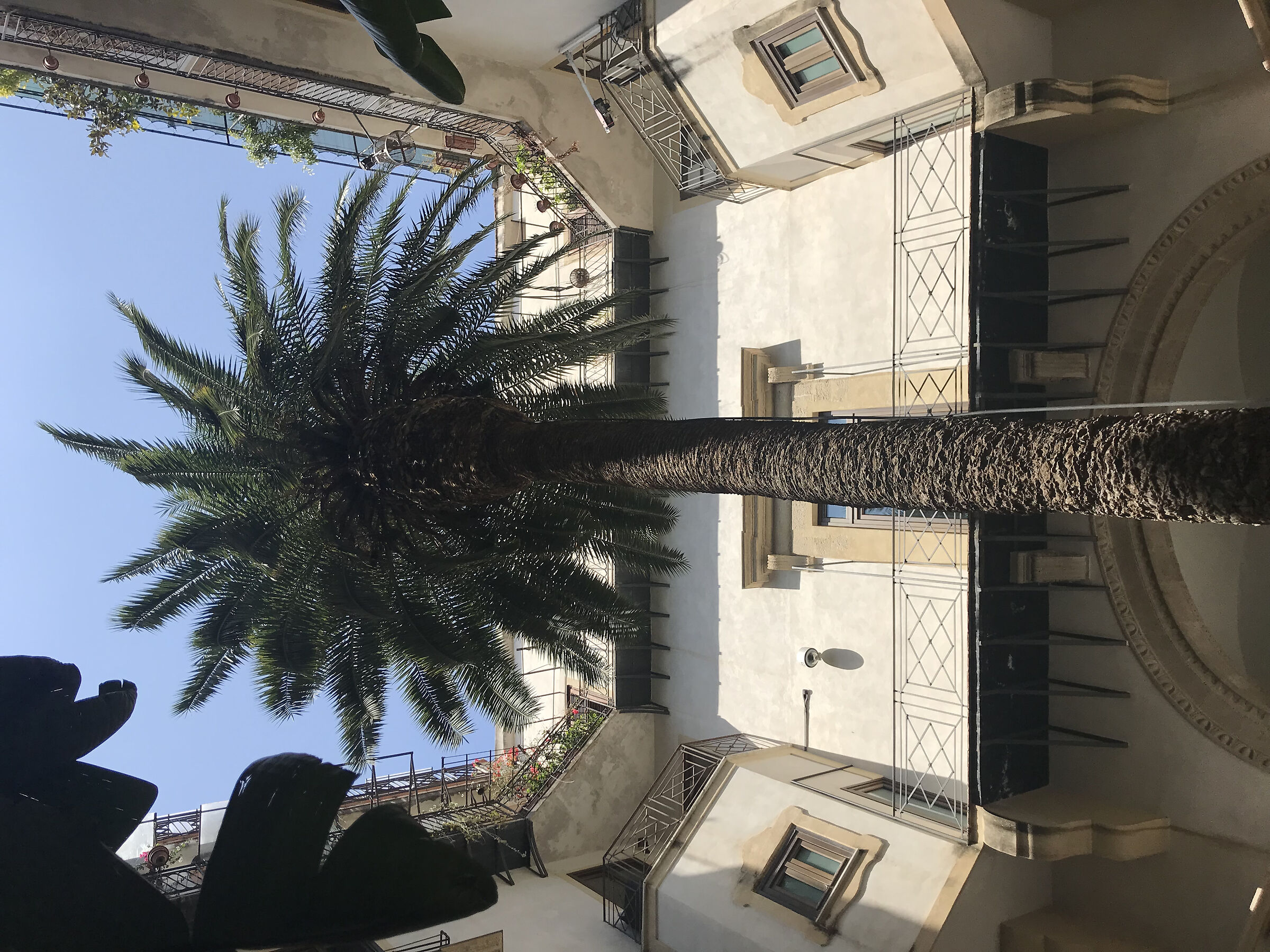 Palma in interno palermitano