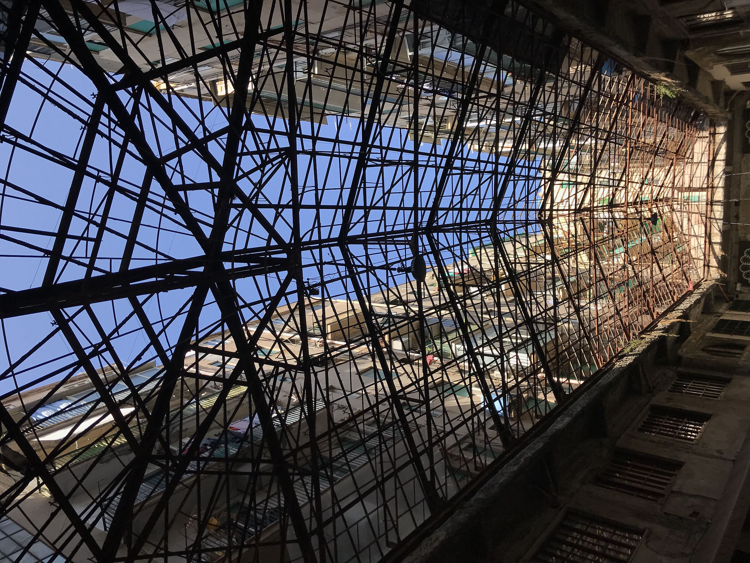 Skeleton of palermo gallery