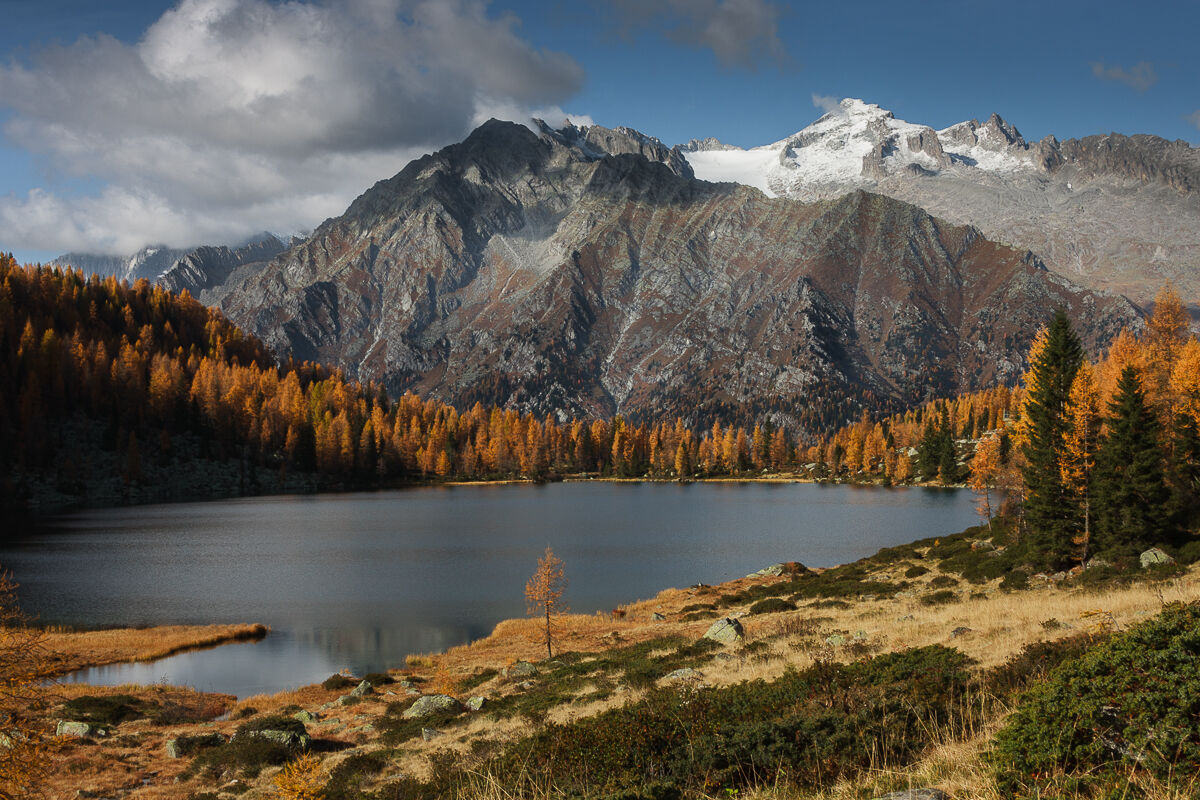 Nature and Trentino ...
