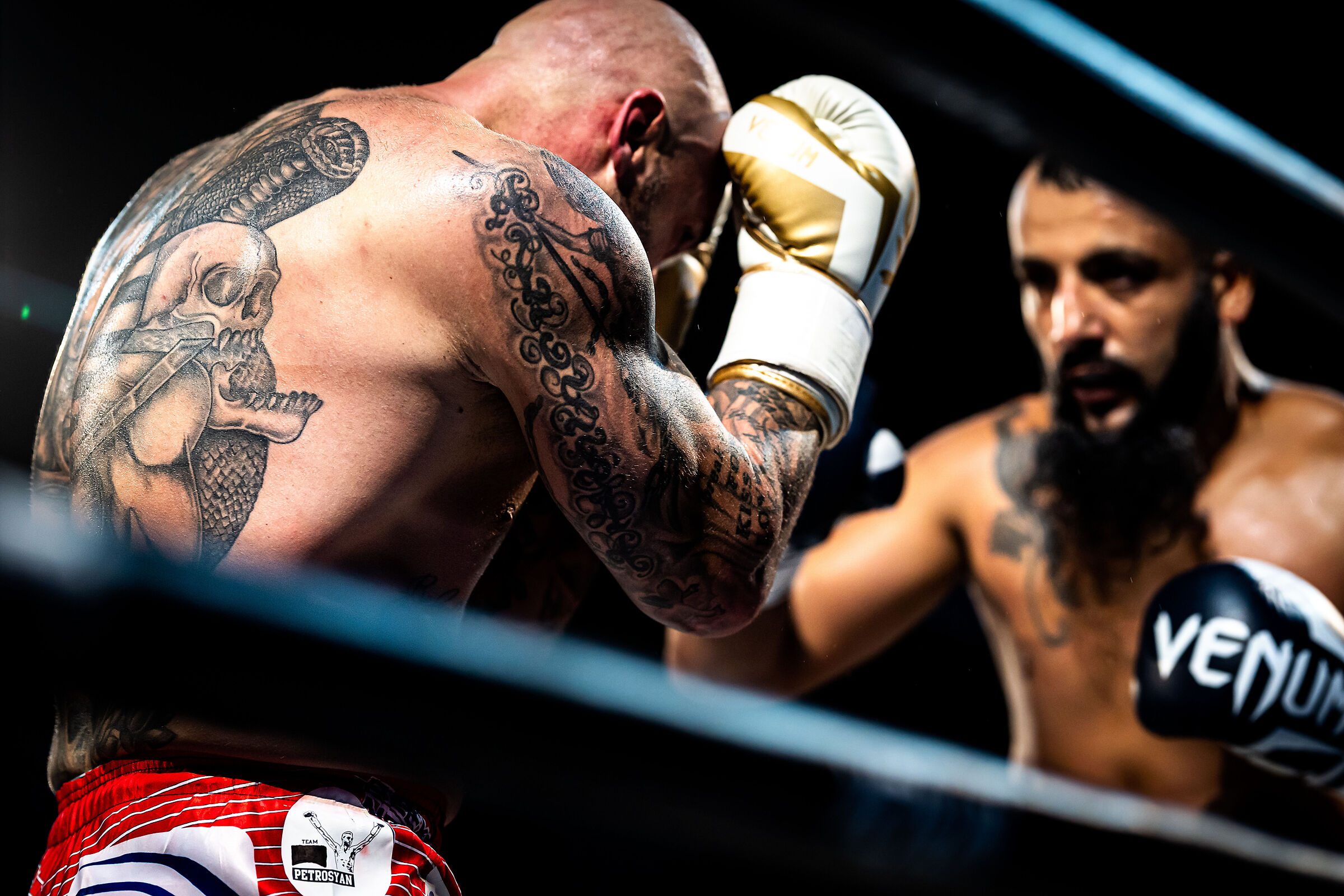 Petrosyan Mania 2019 Shots