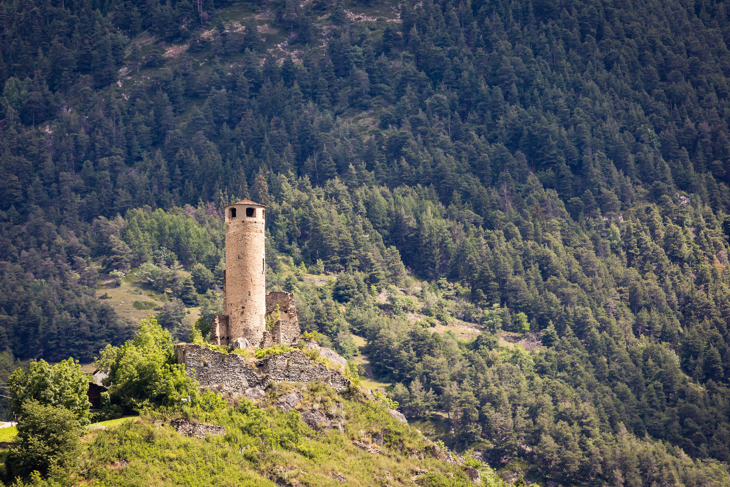 La torre di guardia
