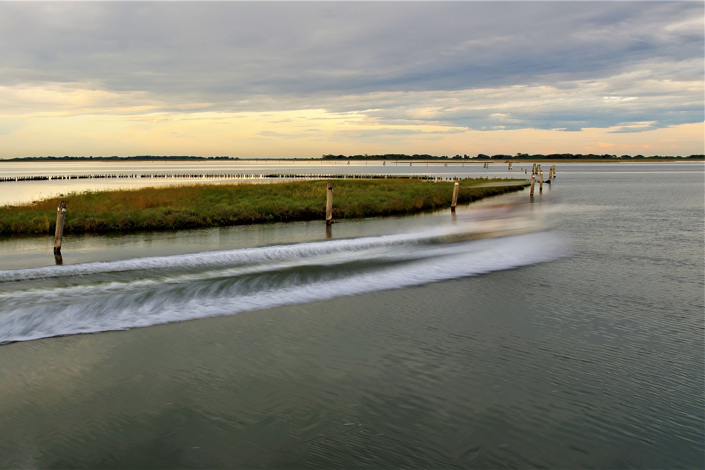Trails in the lagoon