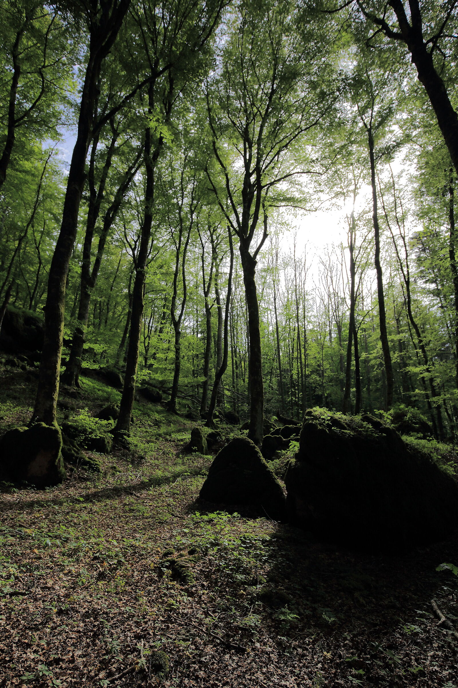 Il connubio perfetto