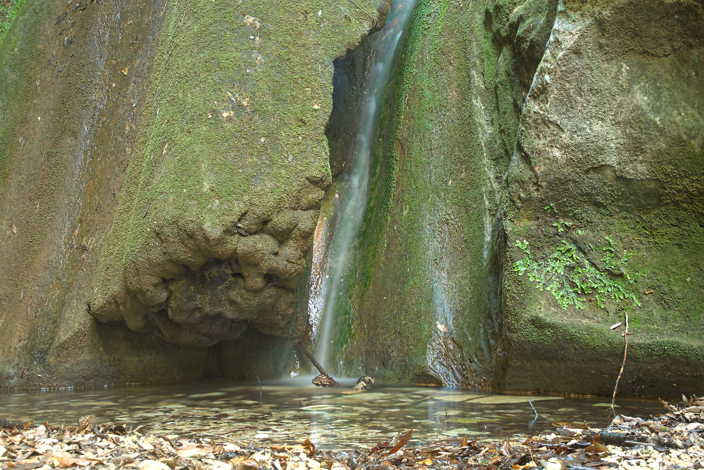 Jana Waterfall