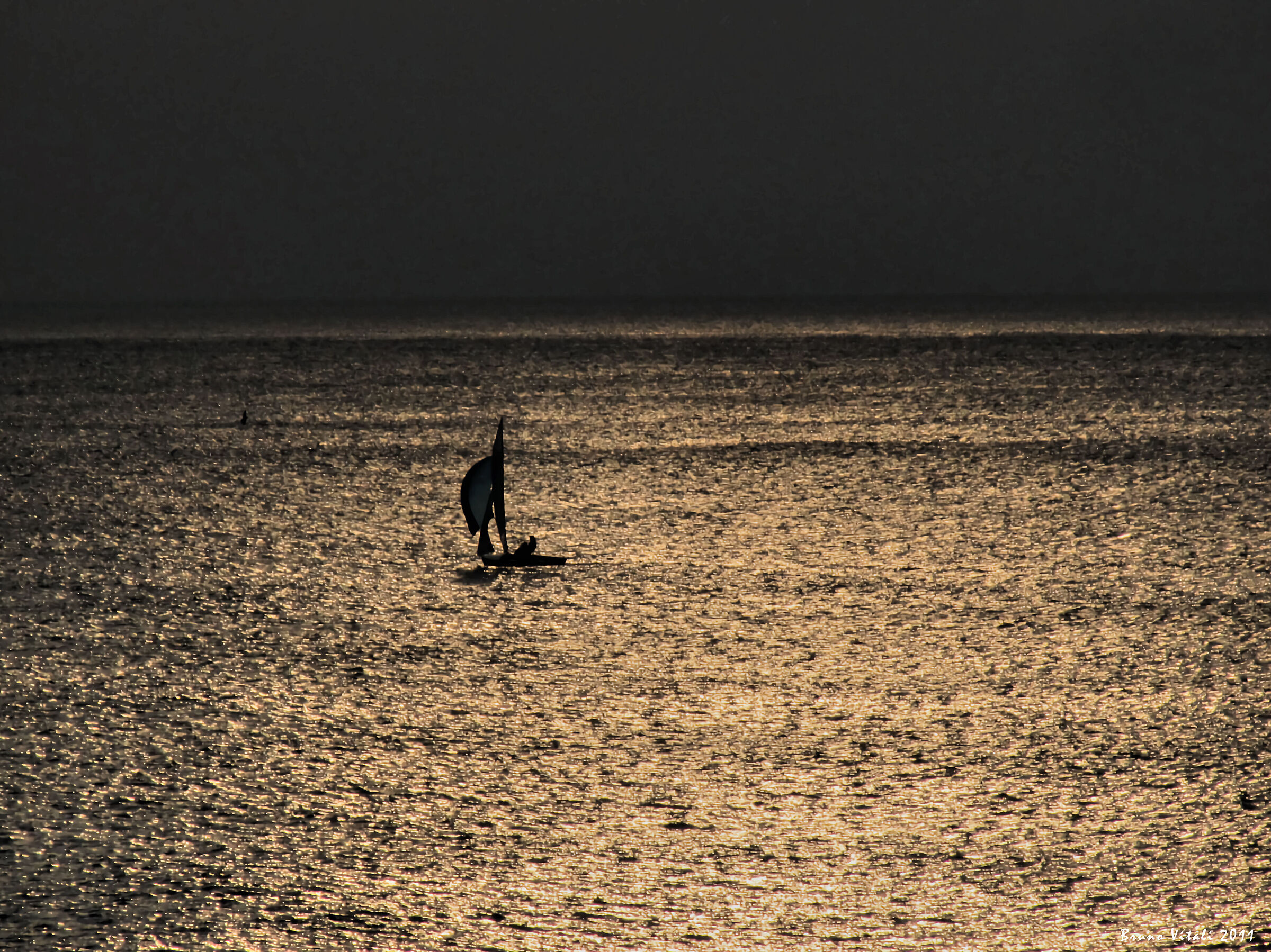 Sailing at sunset in Corso Italia Genoa