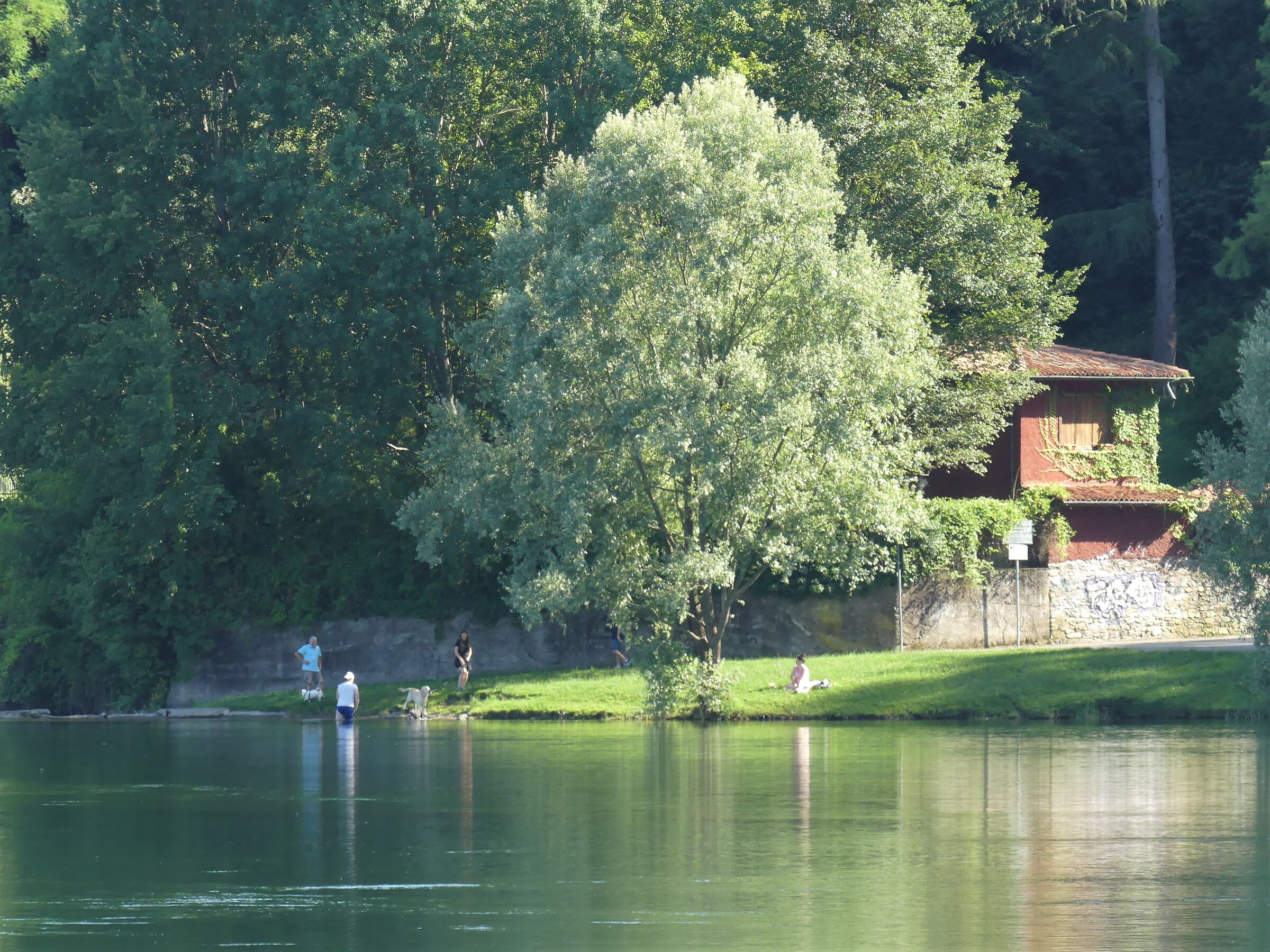 Lungo le sponde del Ticino