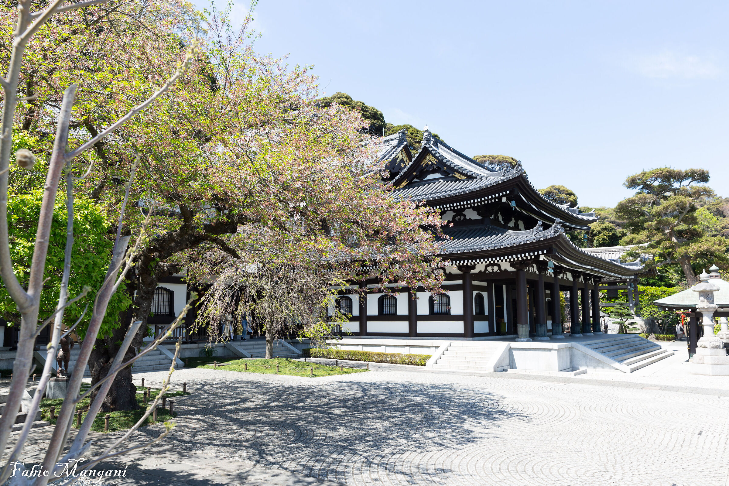 Japan