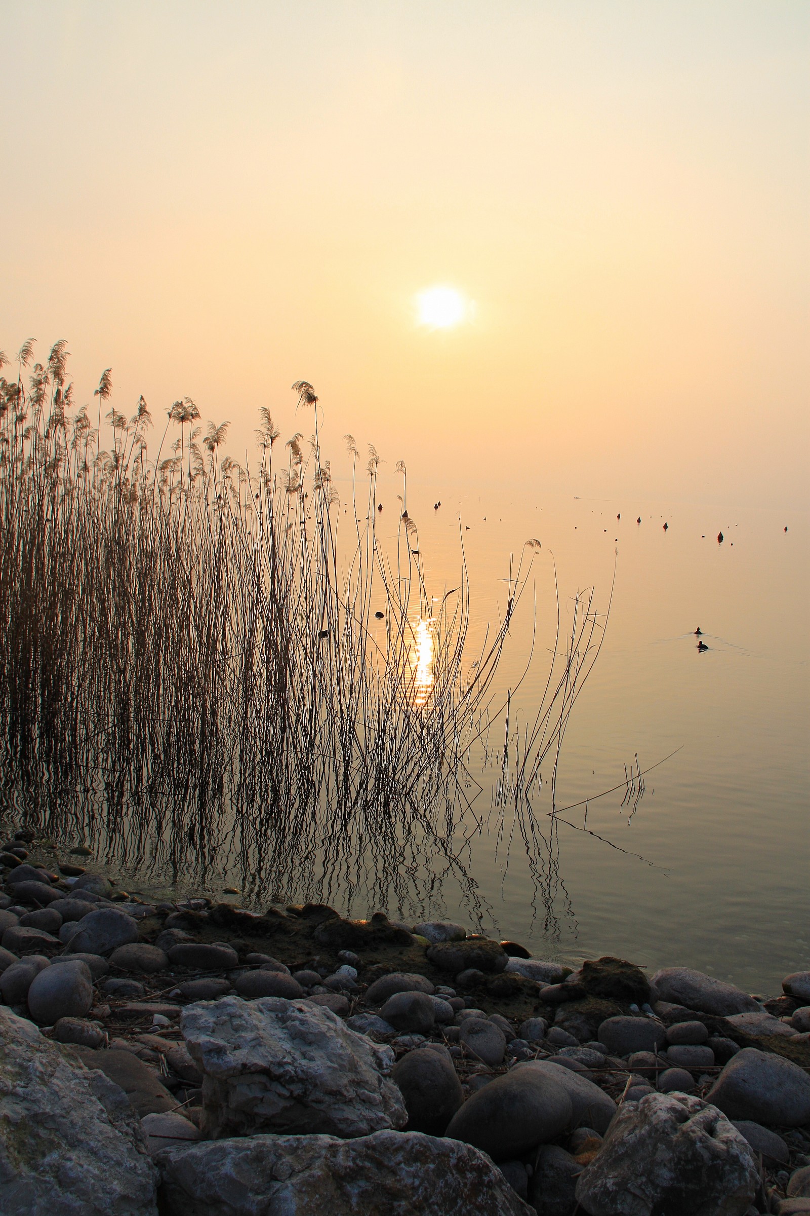 in the evening along Lake Garda
