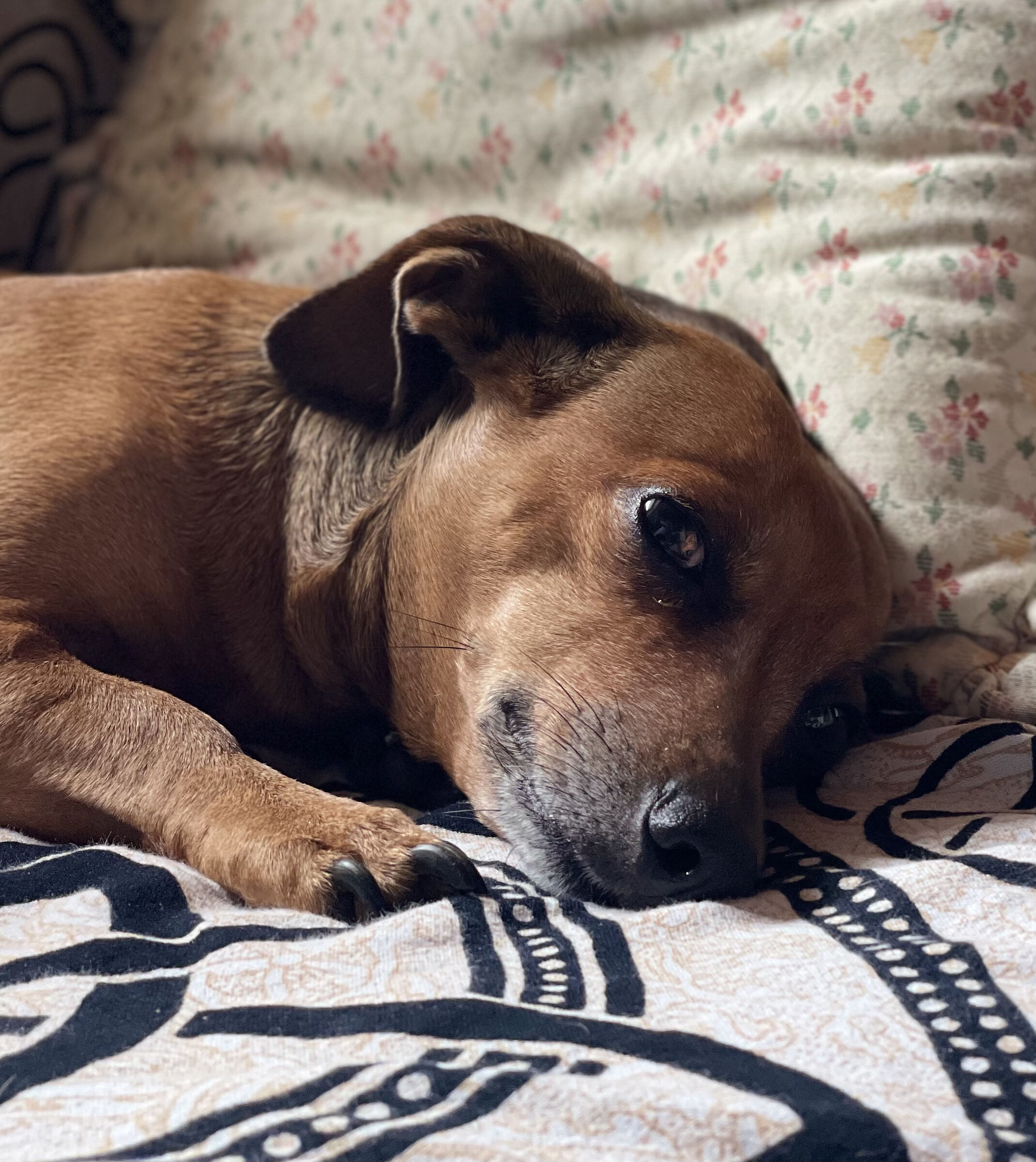 Lilli and her tenderness.