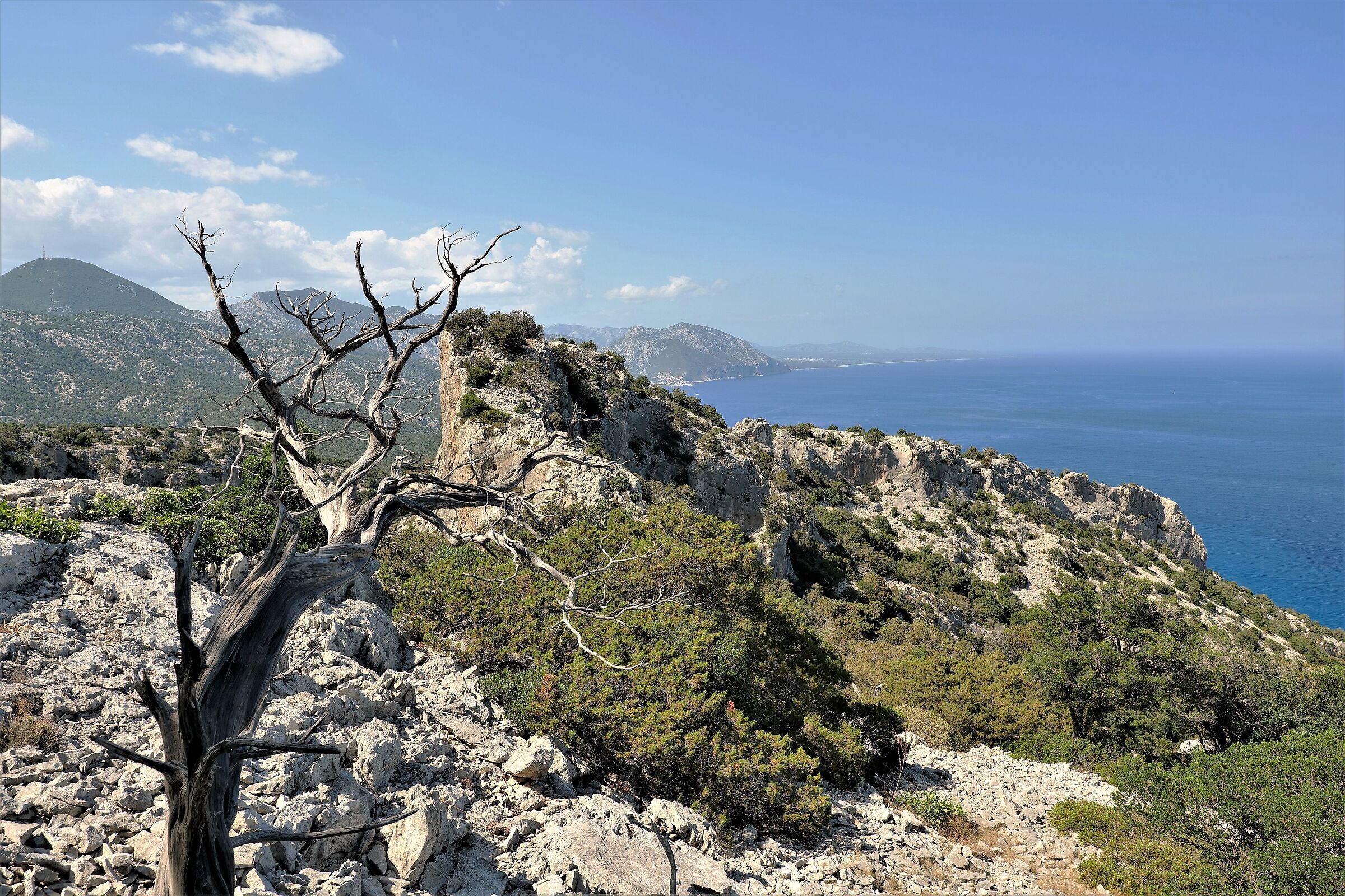 Tratto di costa tra Cala Luna e Cala Sisine
