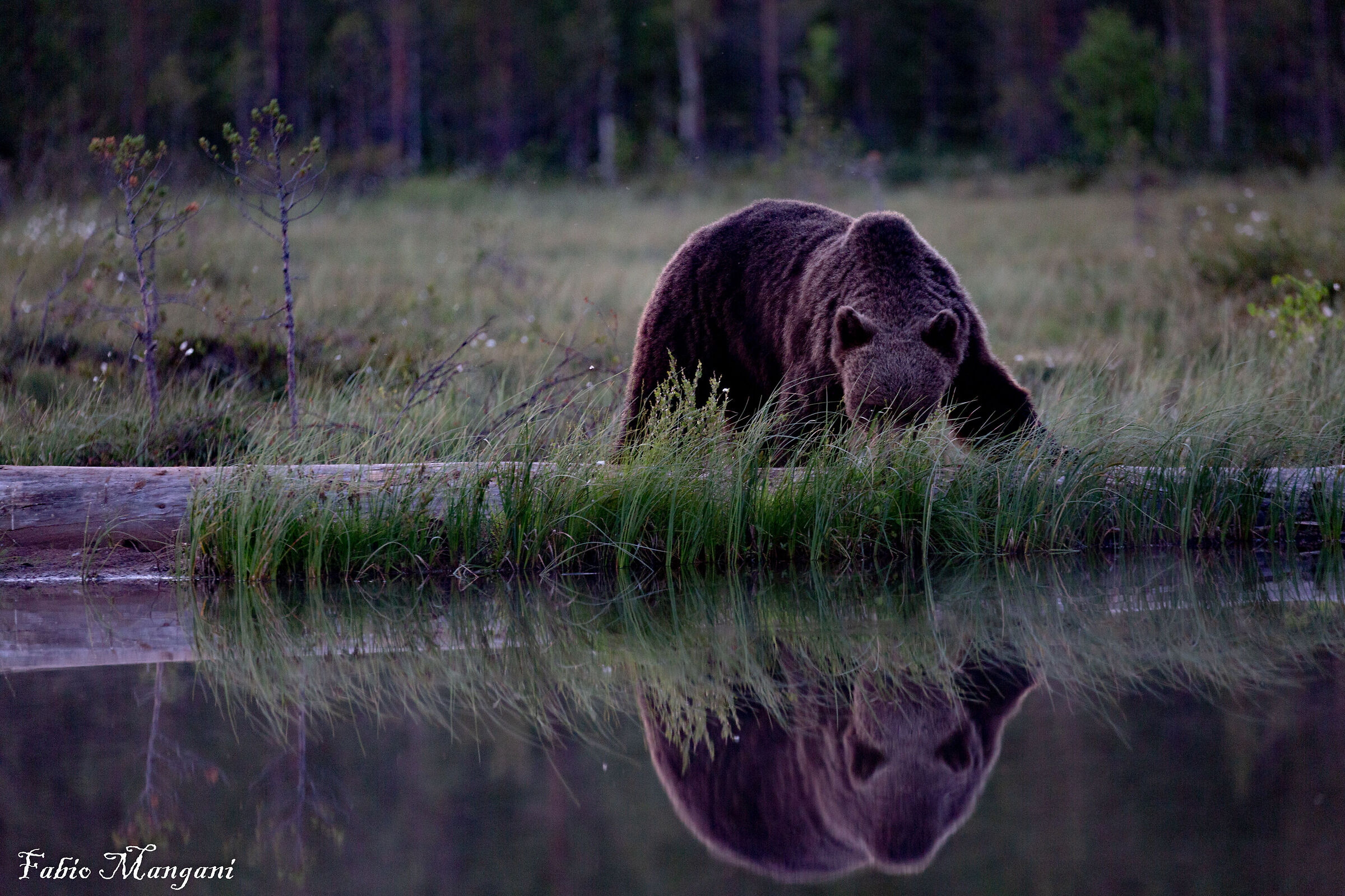 ........Finland........