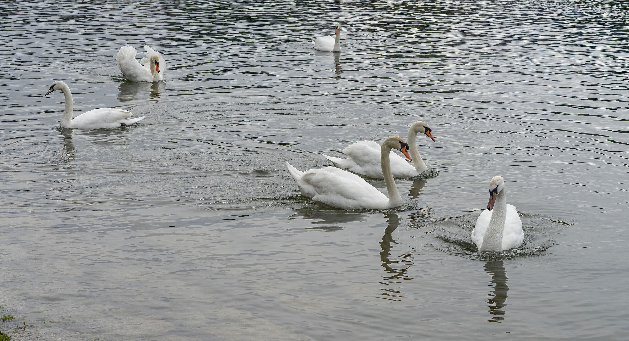 Sunday, 16 May 2021, 11:31